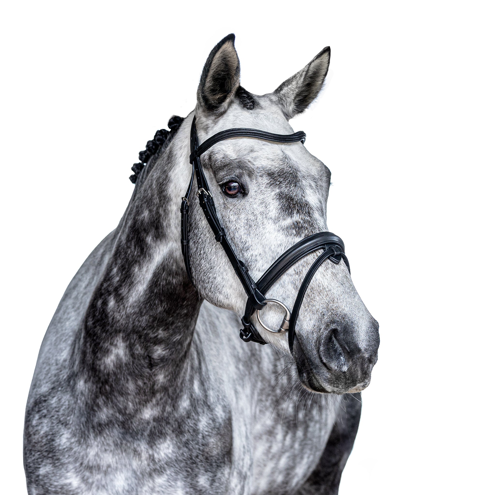 Premium Black Snaffle Bridle ‘Luna’