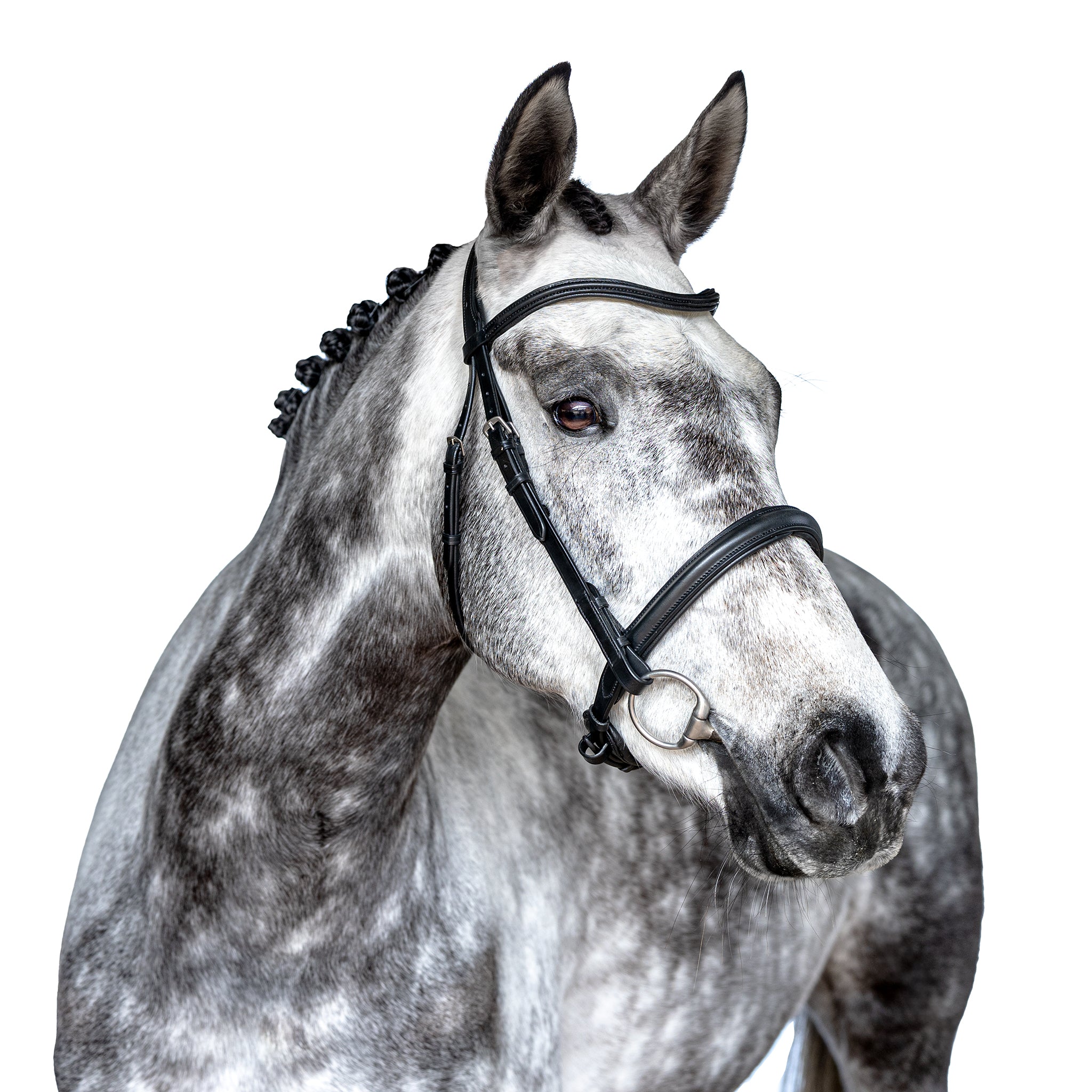 Premium Black Snaffle Bridle ‘Luna’
