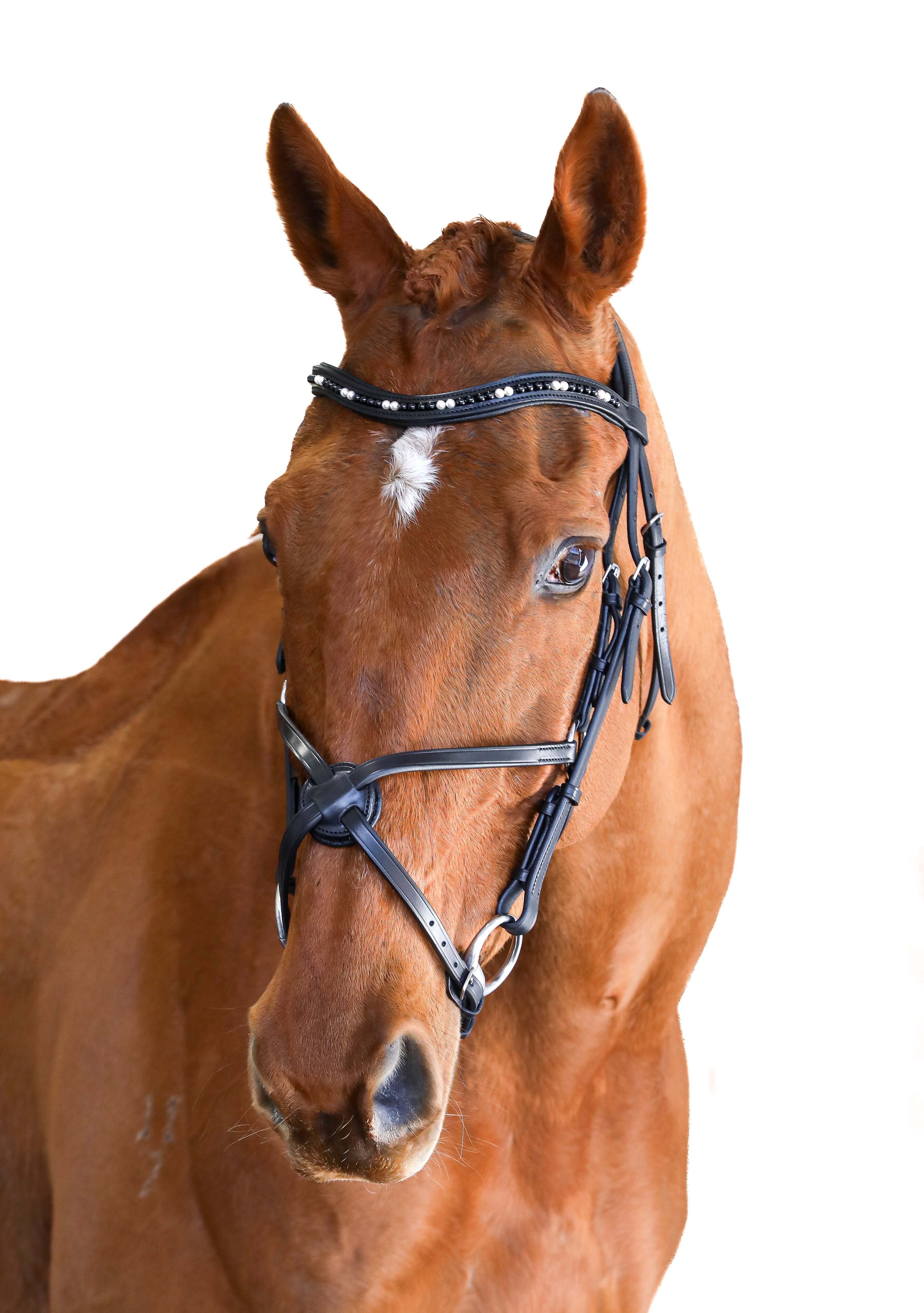 Premium Black Snaffle Bridle ‘Dante’