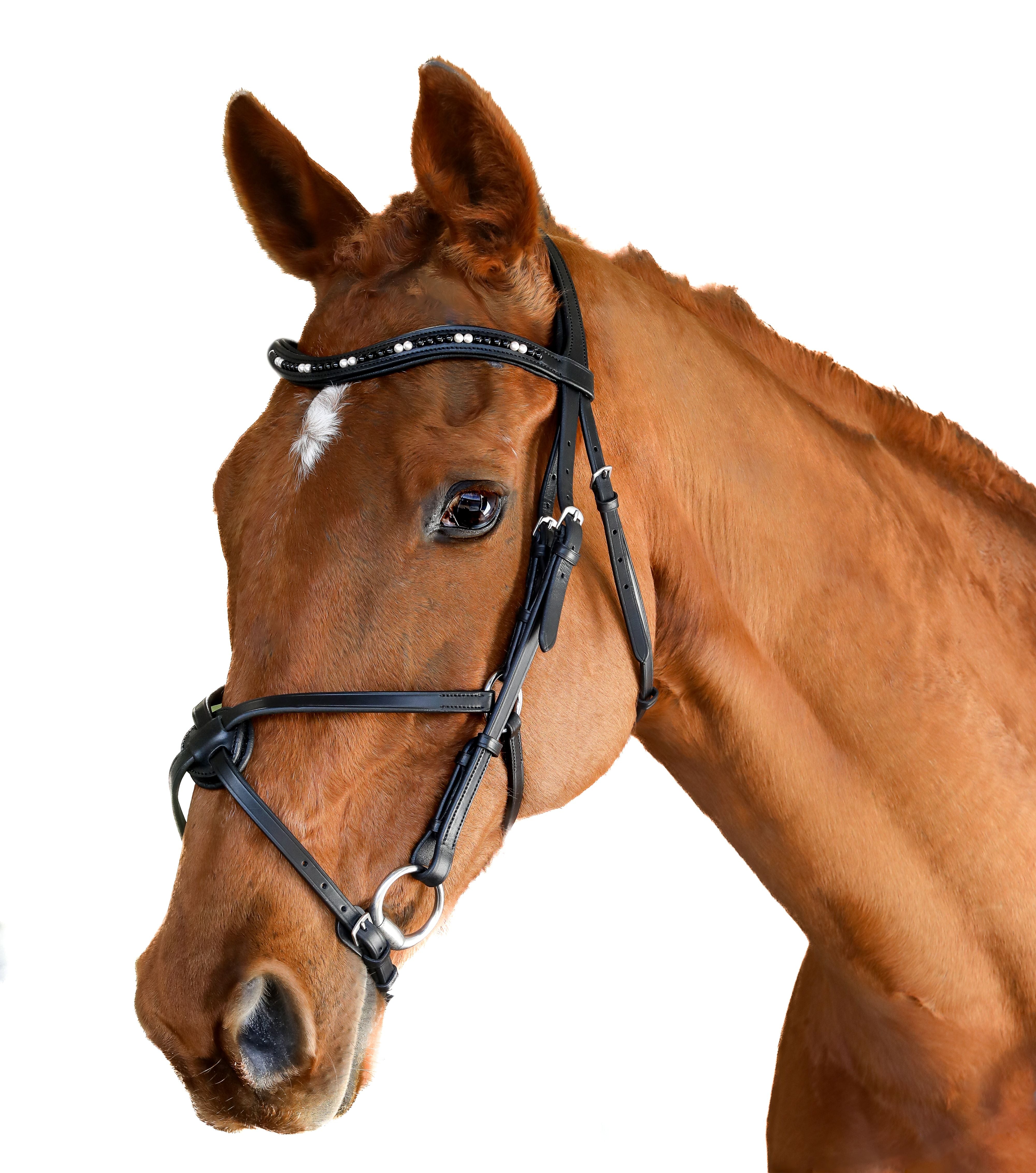 Premium Black Snaffle Bridle ‘Dante’