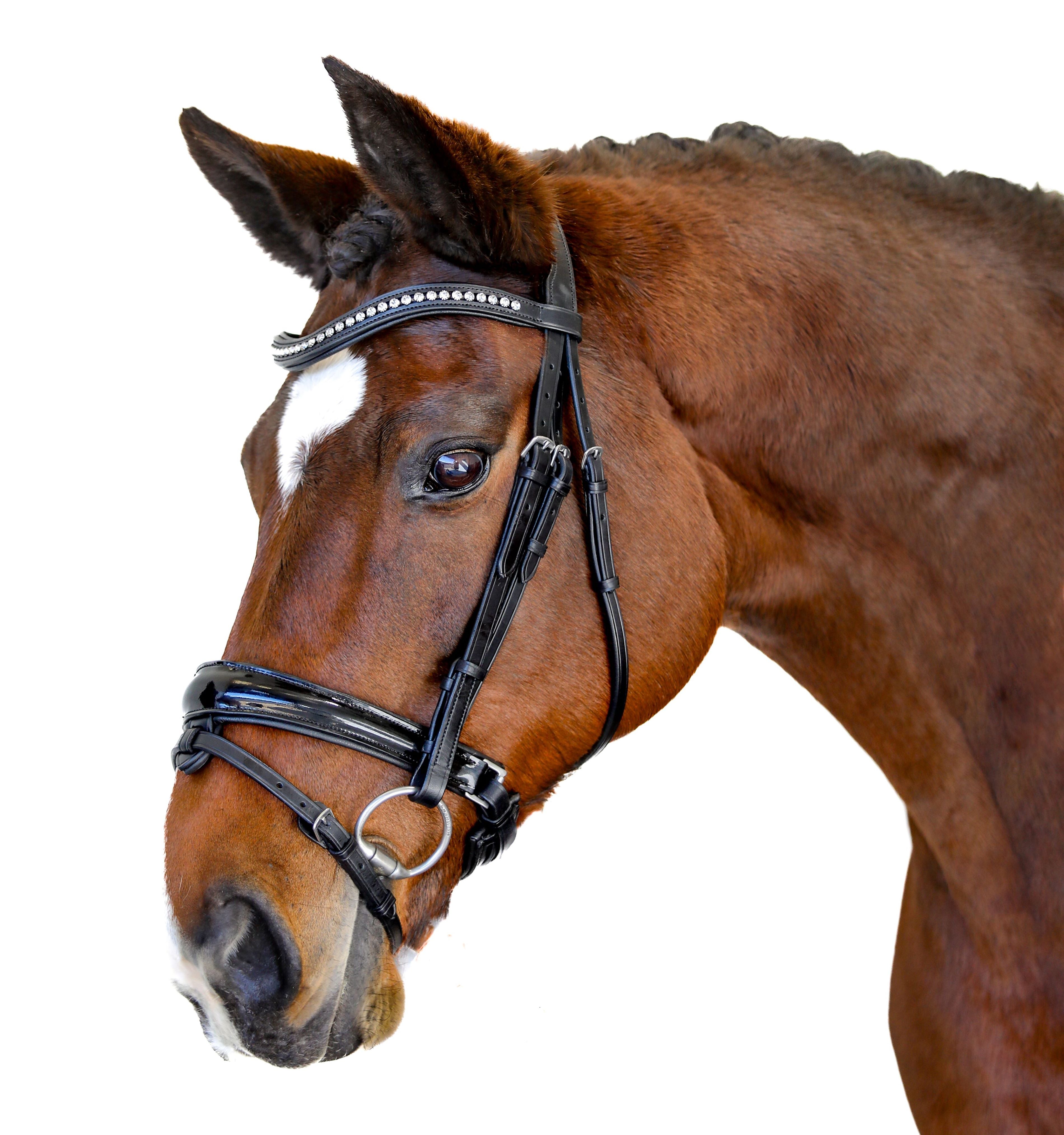 Premium Black Snaffle Bridle ‘Spirit’