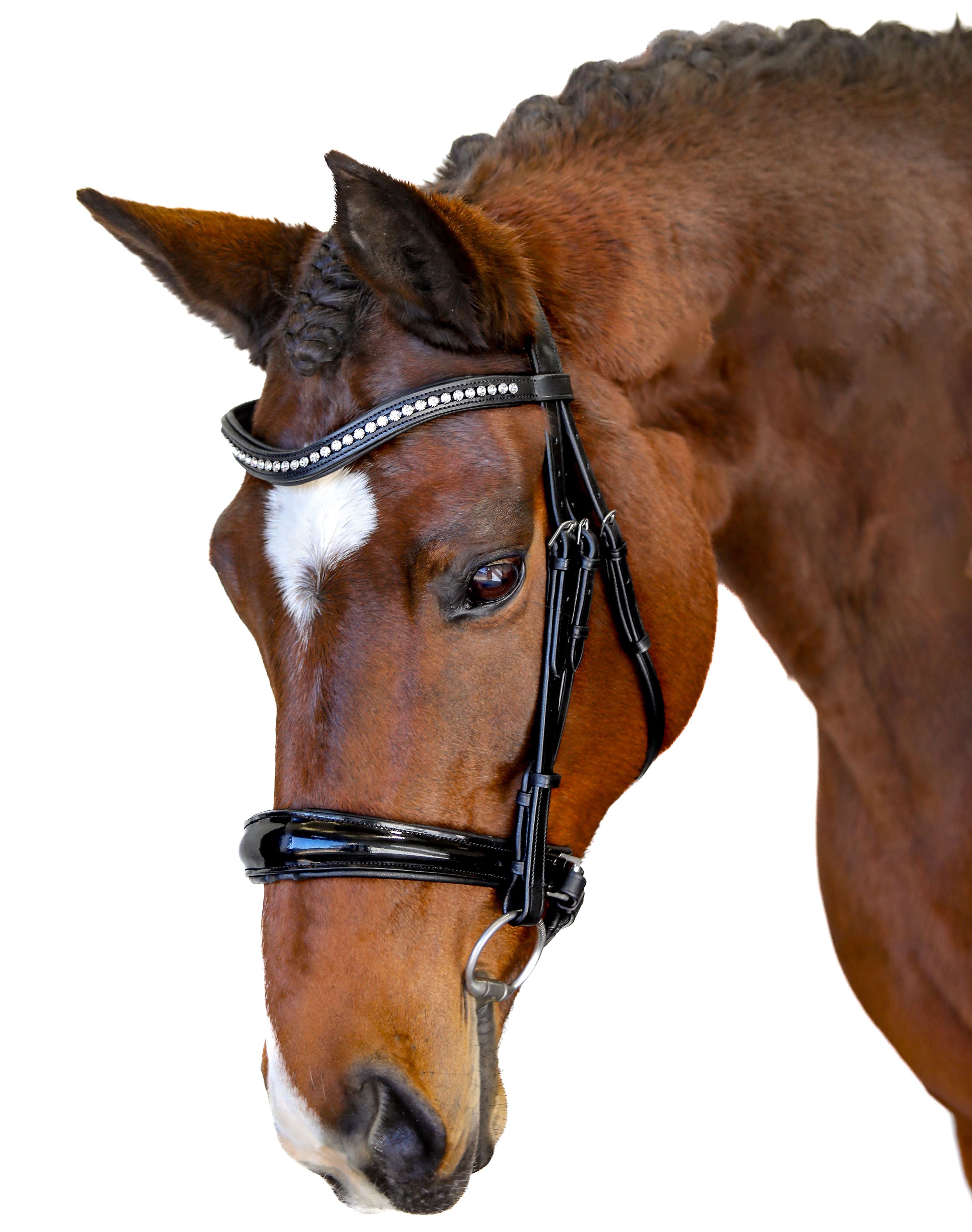 Premium Black Snaffle Bridle ‘Spirit’