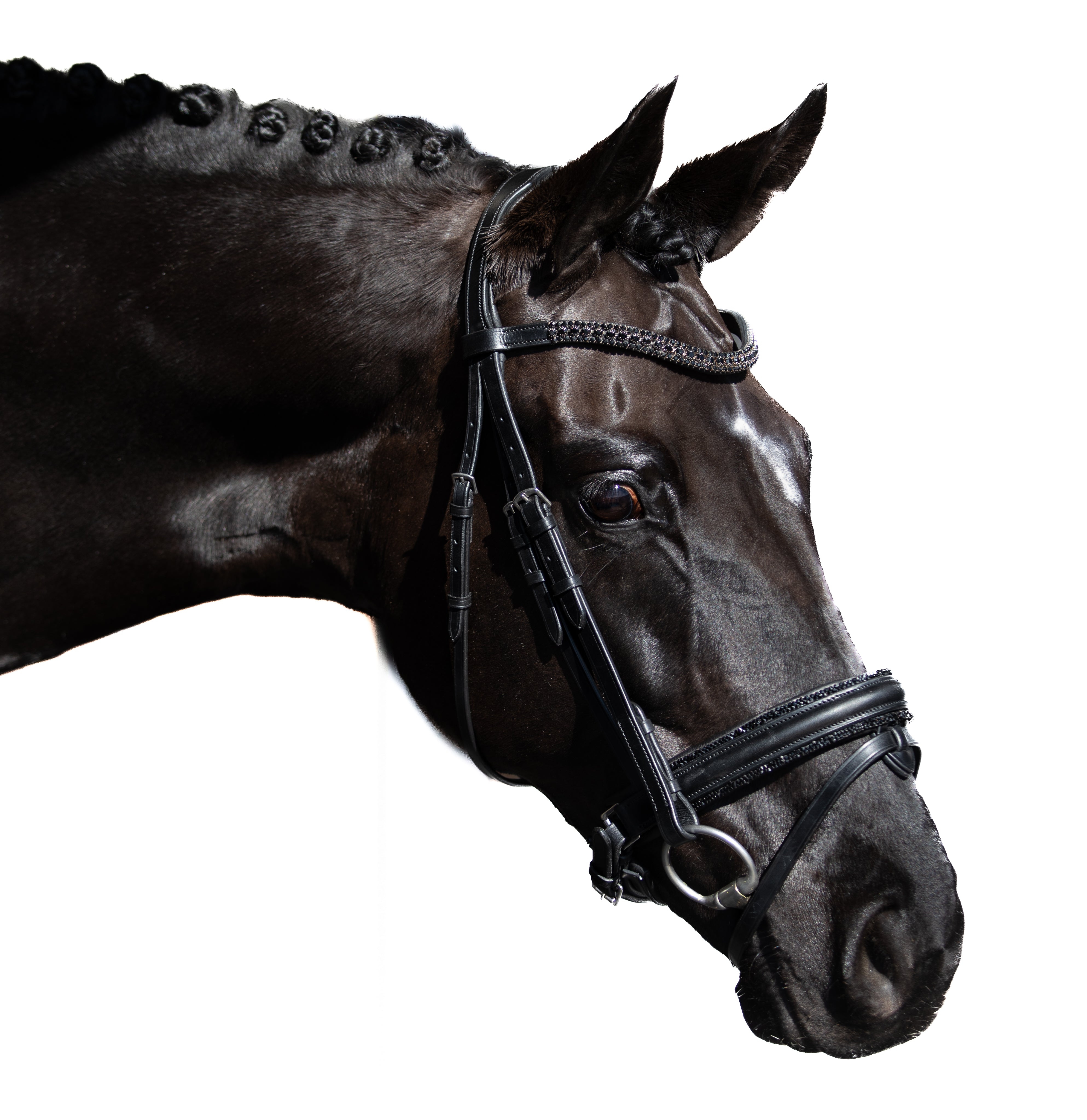 Premium Black Snaffle Bridle ‘Glamour’