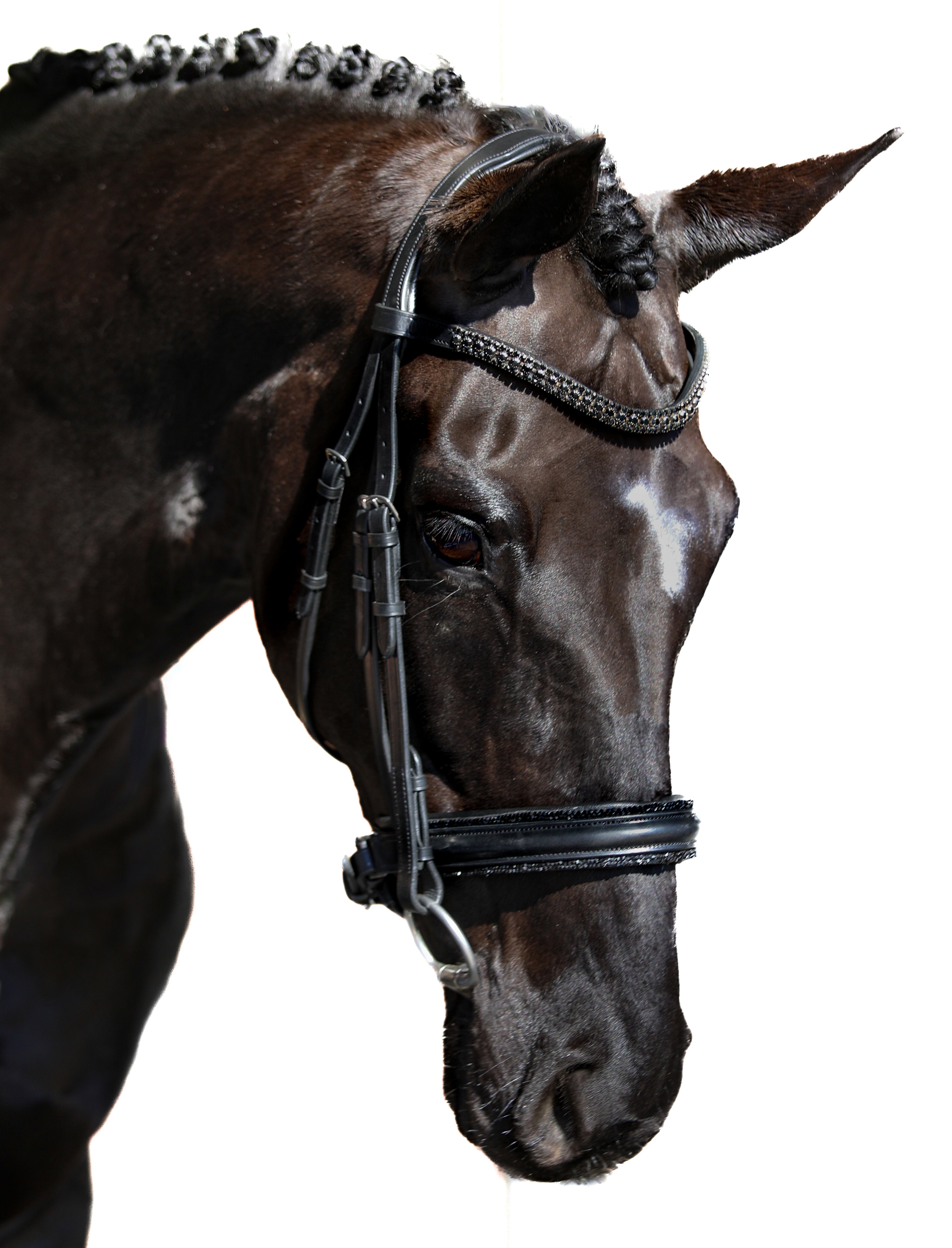 Premium Black Snaffle Bridle ‘Glamour’