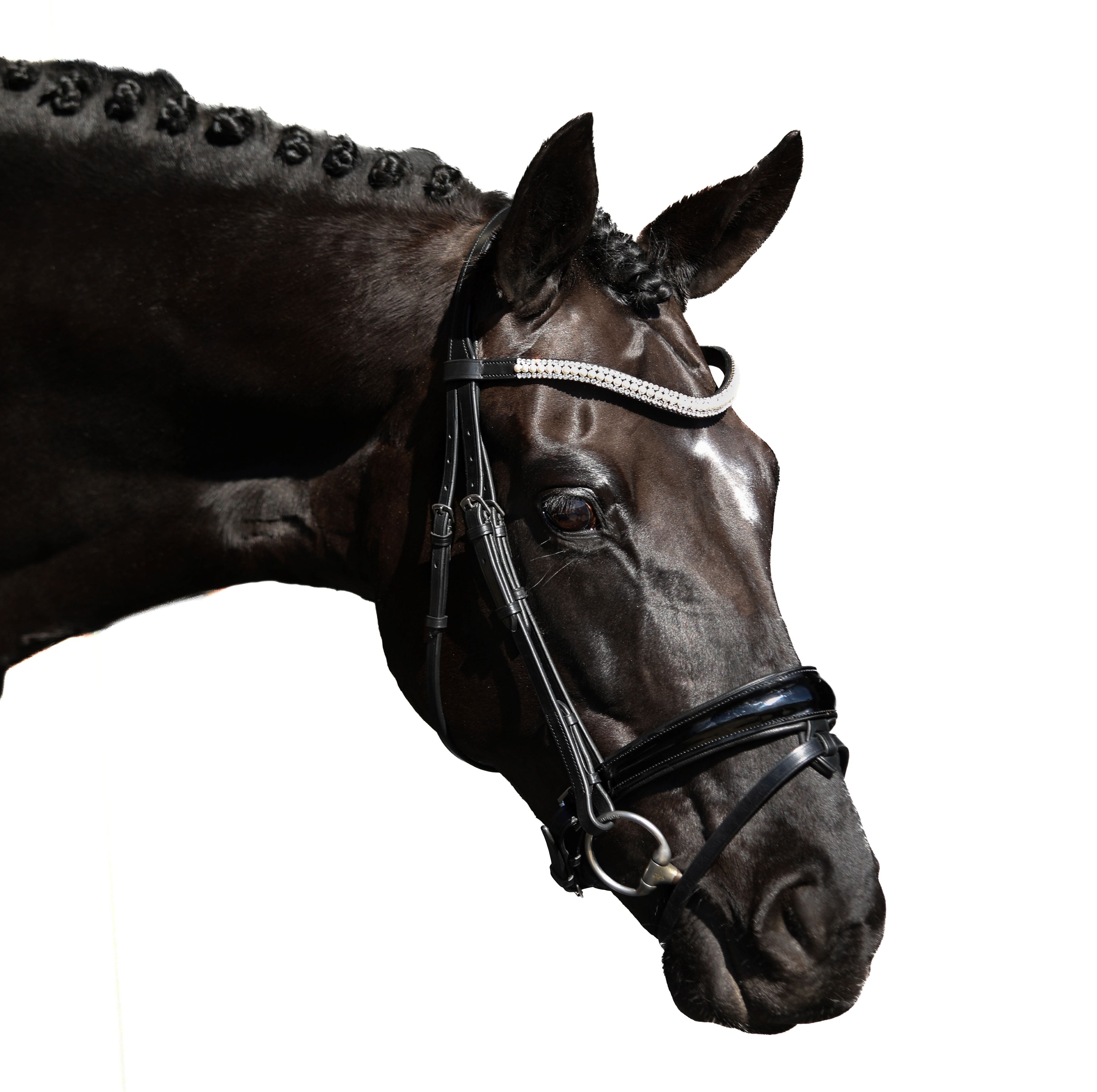 Premium Black Snaffle Bridle ‘Prestige’