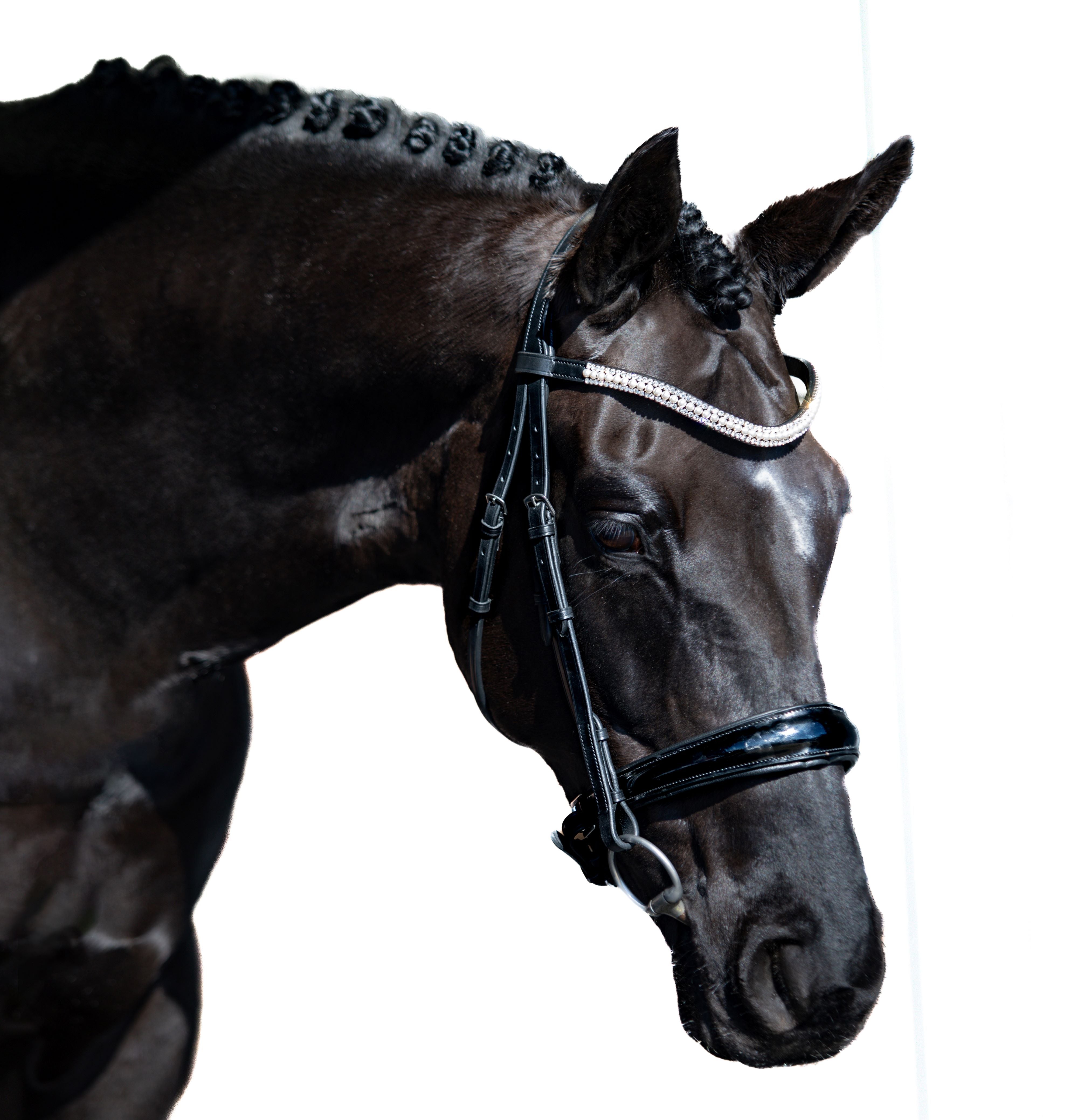 Premium Black Snaffle Bridle ‘Prestige’