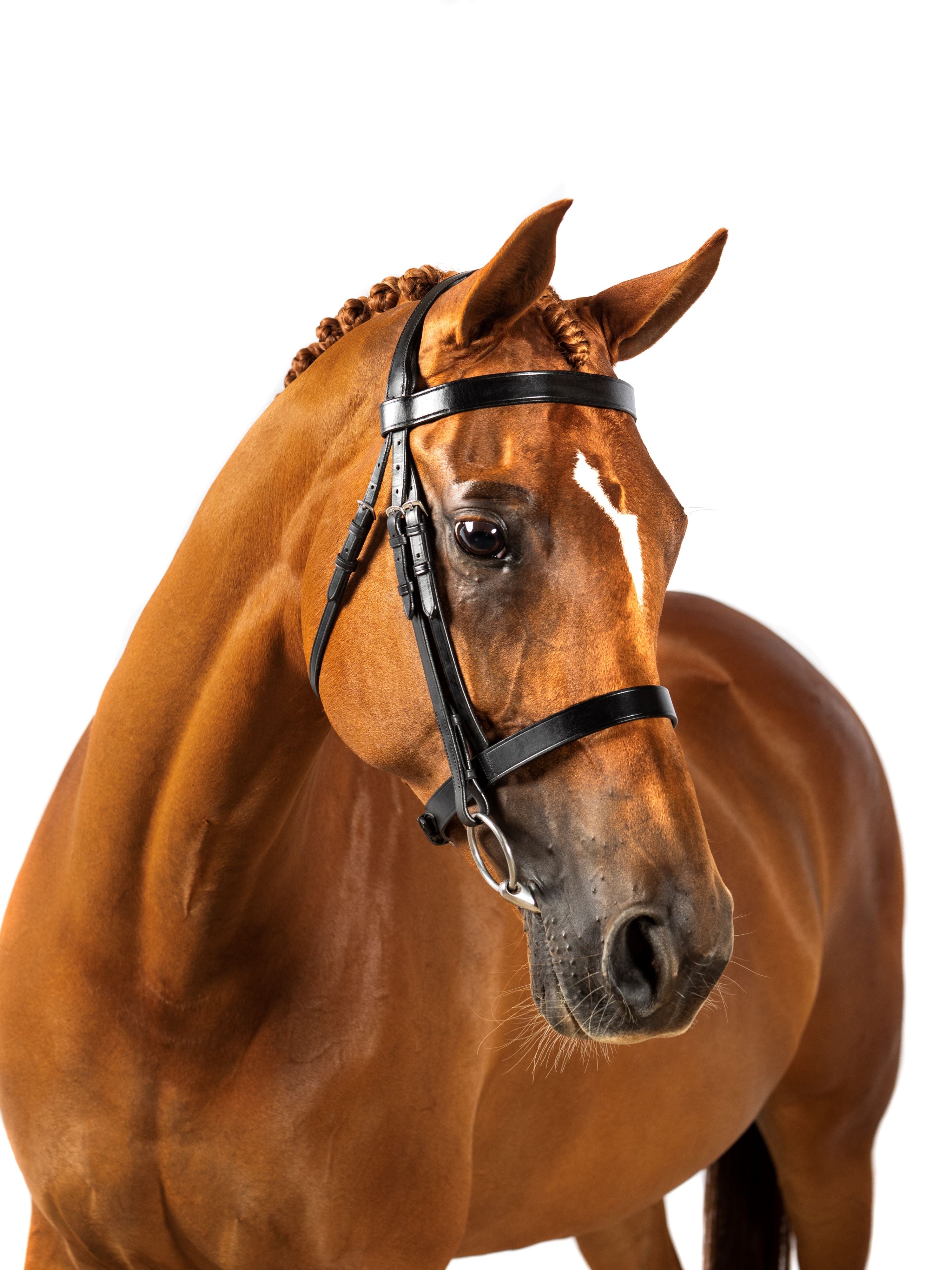 Premium Black Show Snaffle Bridle ‘Siritara’