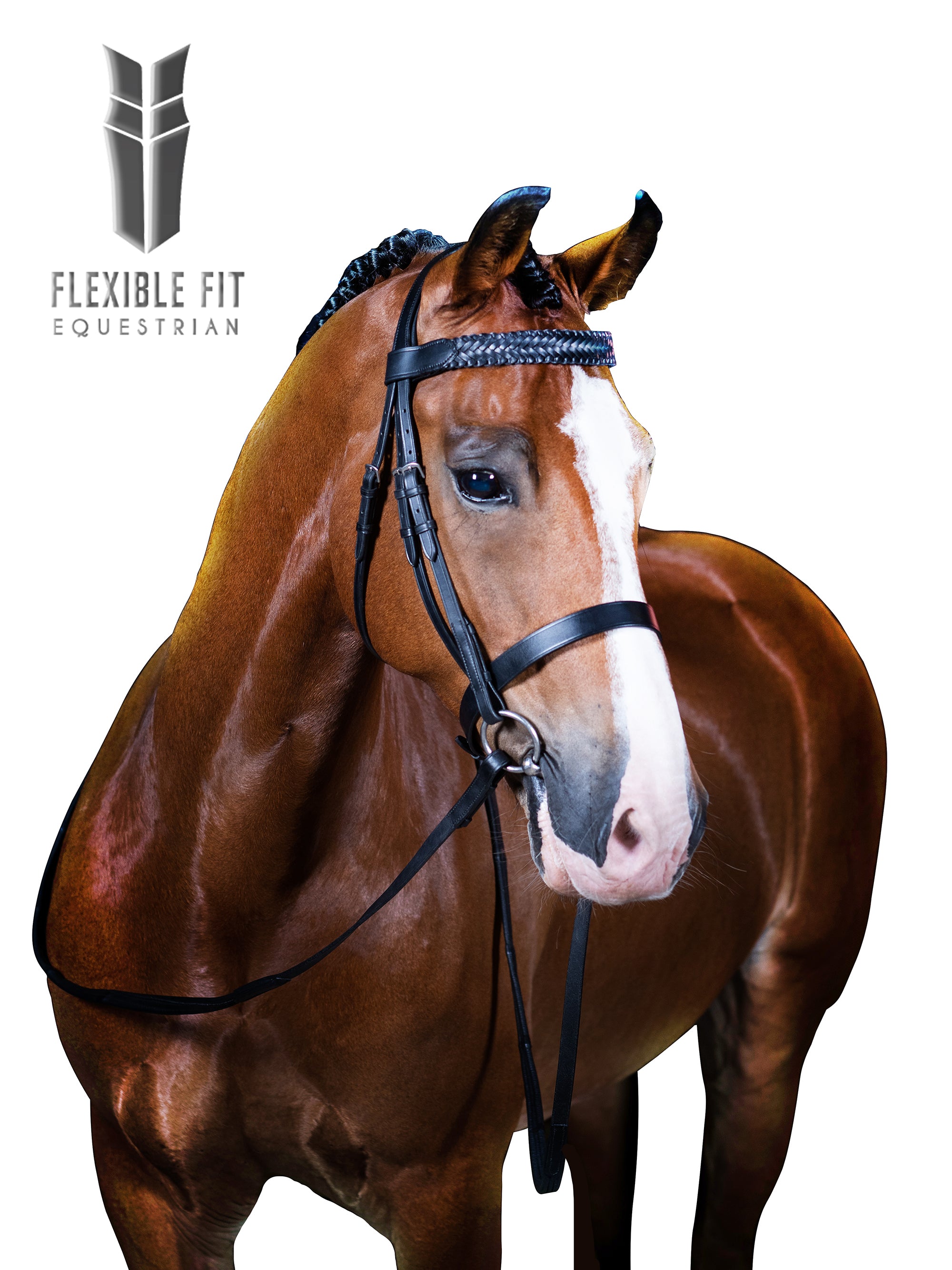 Premium Black Show Snaffle Bridle ‘Serenade’