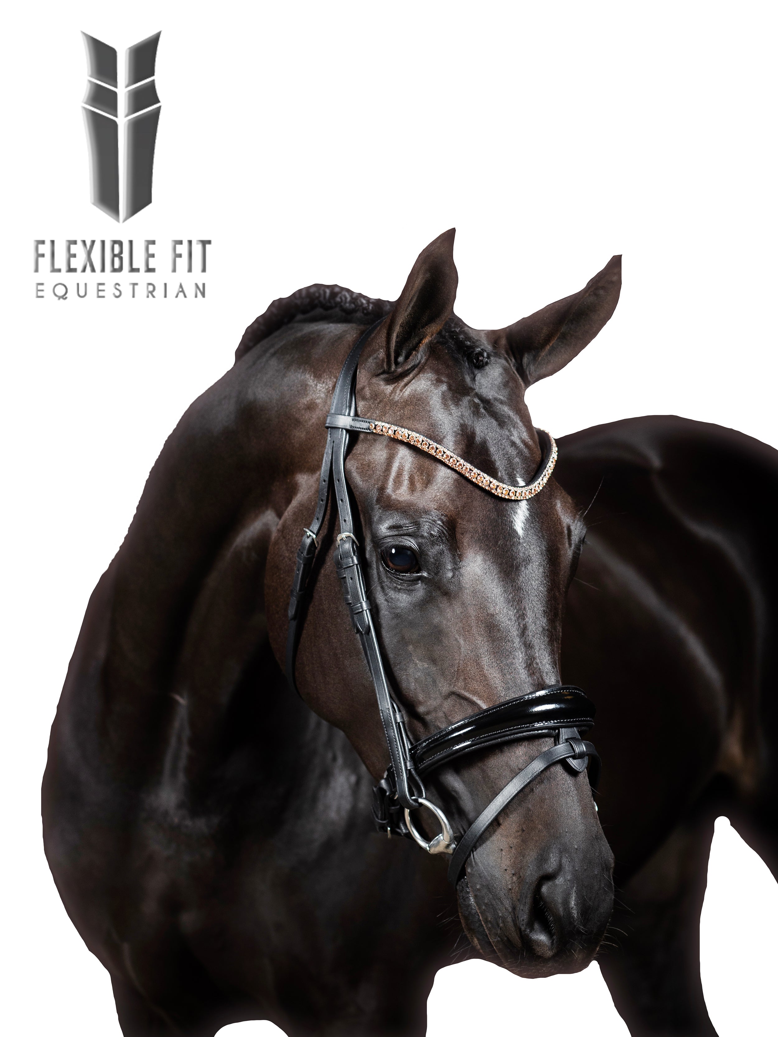Premium Black Snaffle Bridle ‘Ravel’