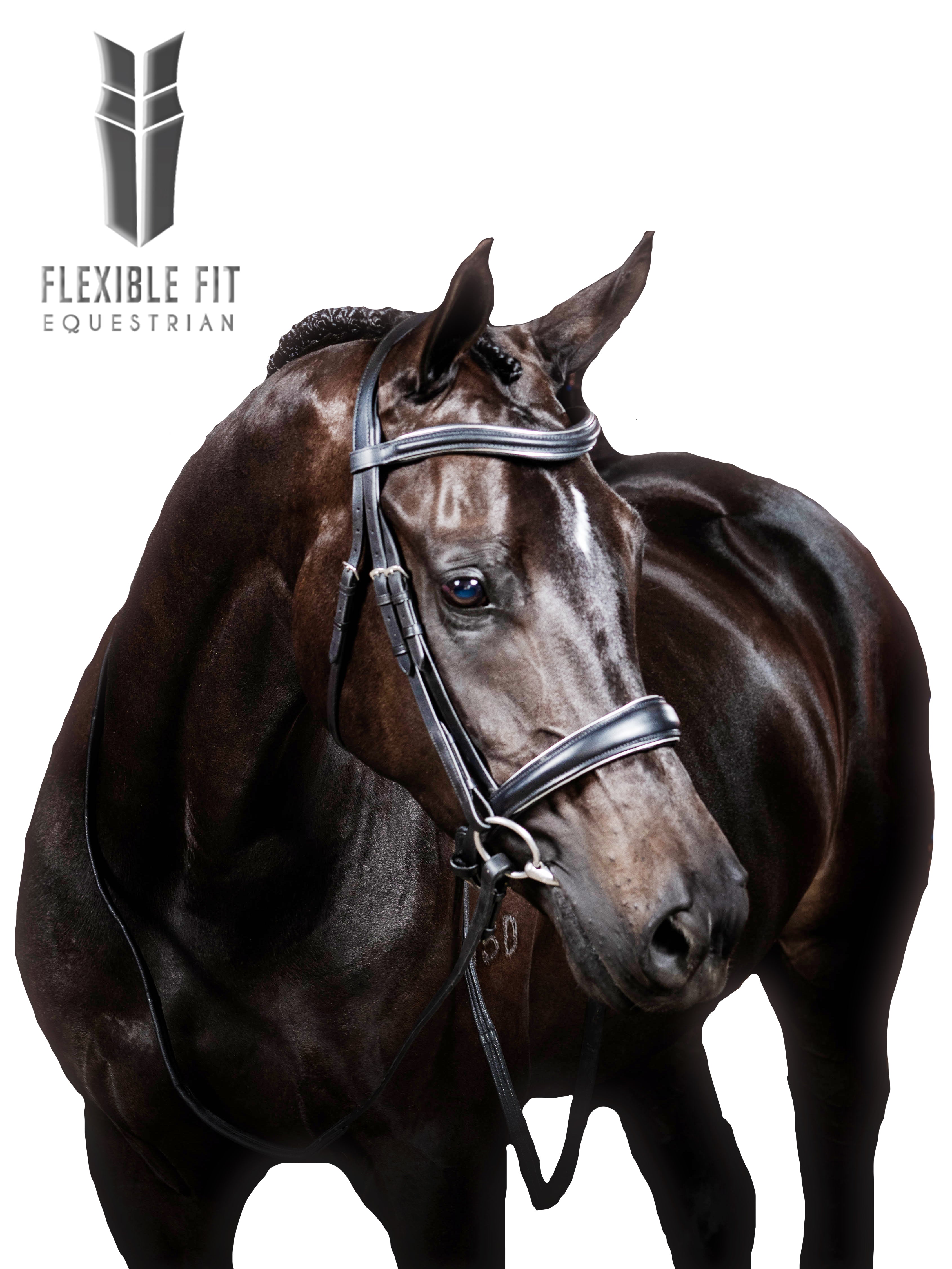 Premium Black Snaffle Bridle ‘Columbus’