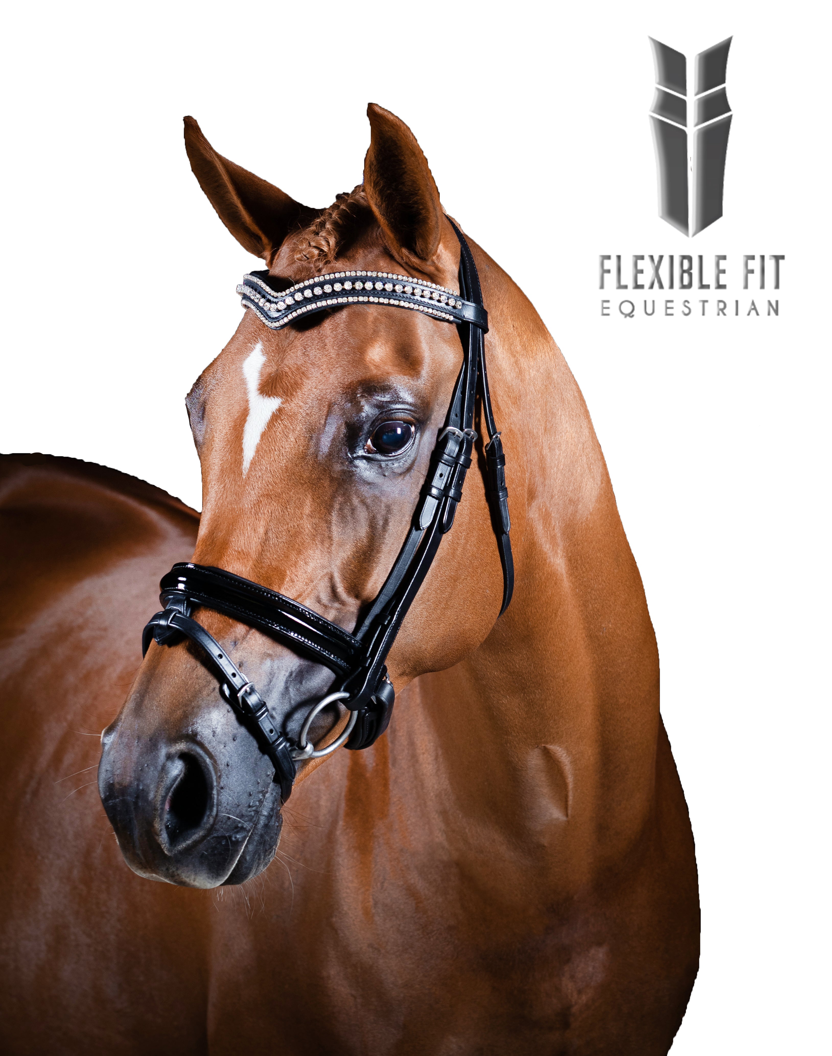 Premium Black Snaffle Bridle ‘Arvia’