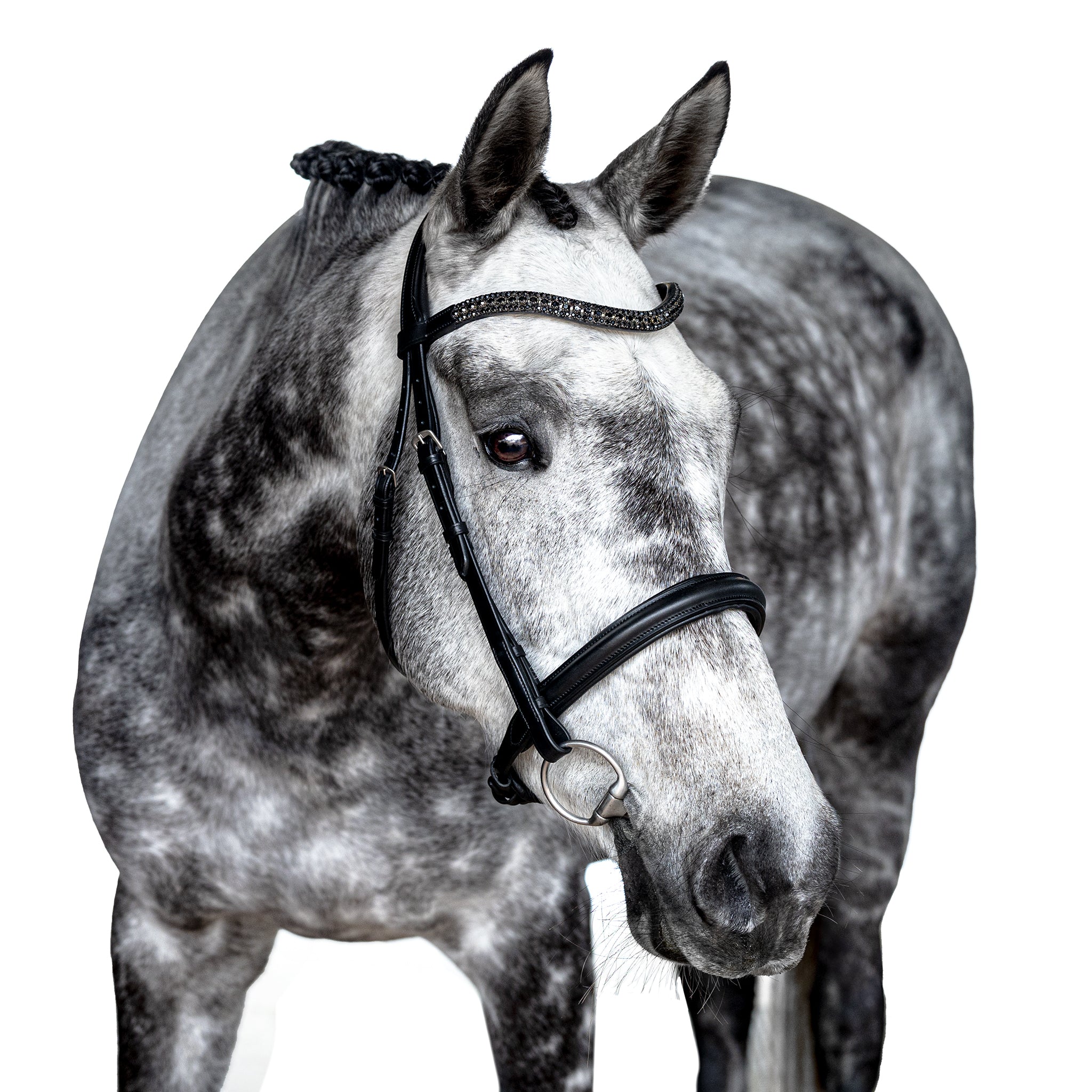 Premium Black Snaffle Bridle ‘Viva’