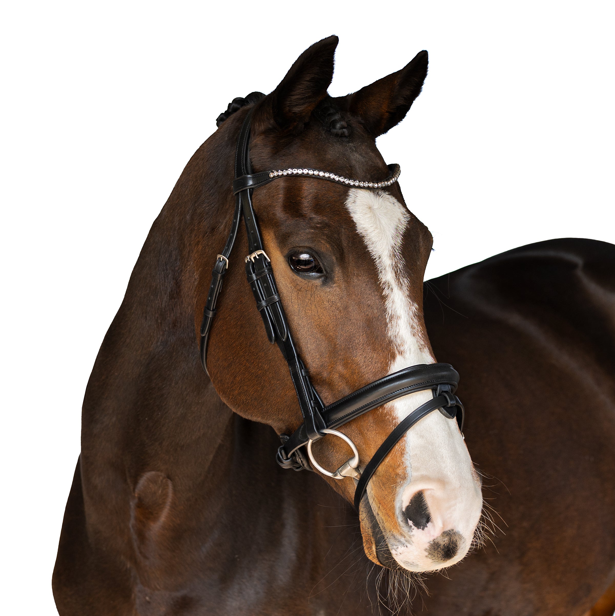 Premium Black Snaffle Bridle ‘Splendor’