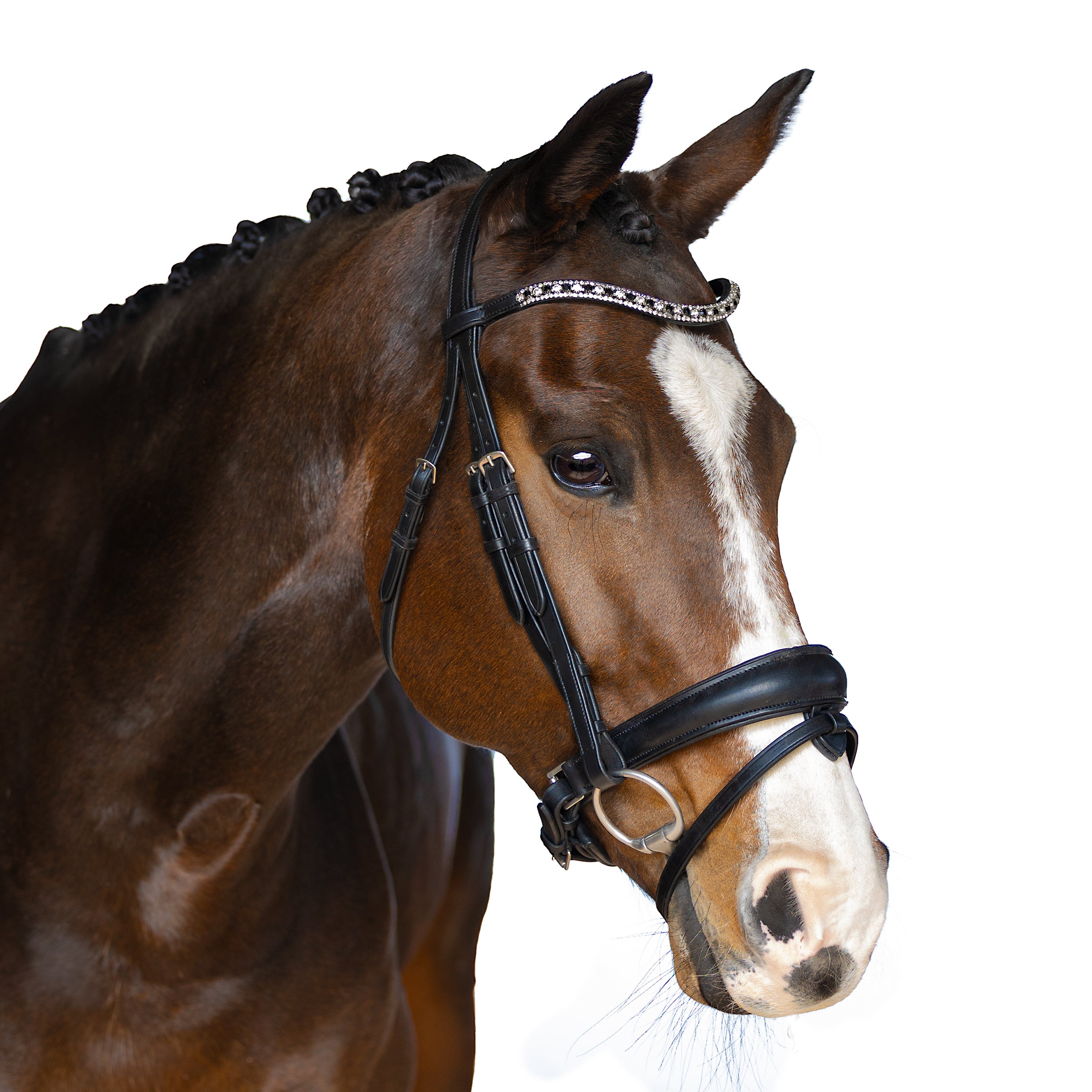 Premium Black Snaffle Bridle ‘Cadence’