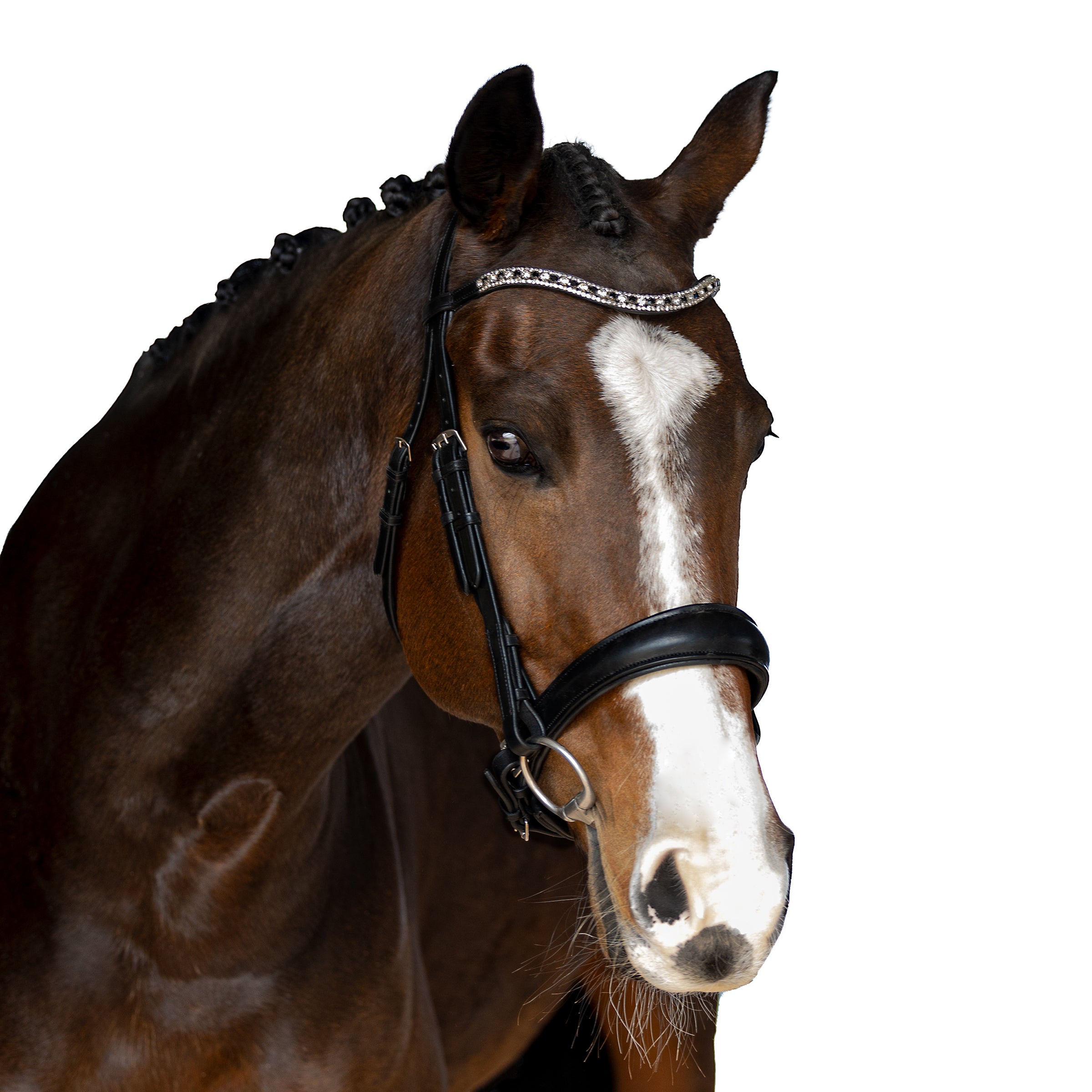 Premium Black Snaffle Bridle ‘Cadence’