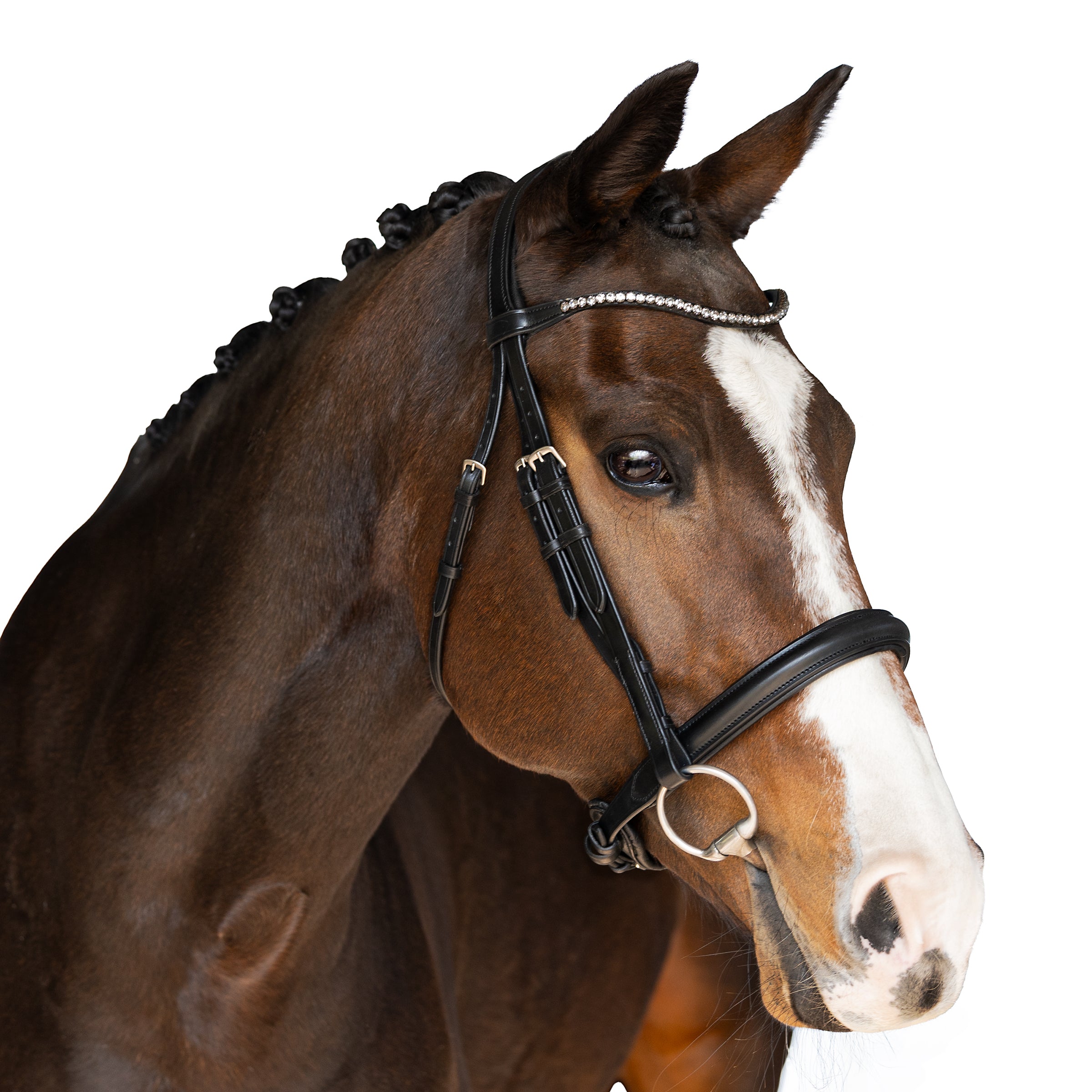 Premium Black Snaffle Bridle ‘Splendor’