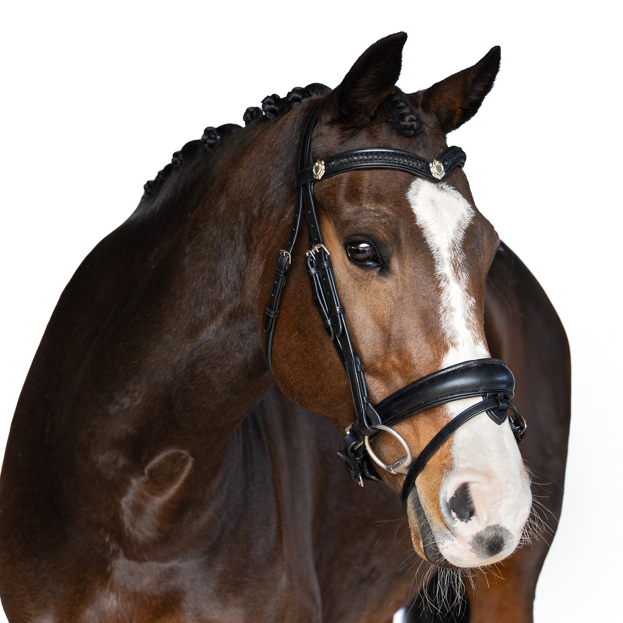 Premium Black Snaffle Bridle ‘Azure’