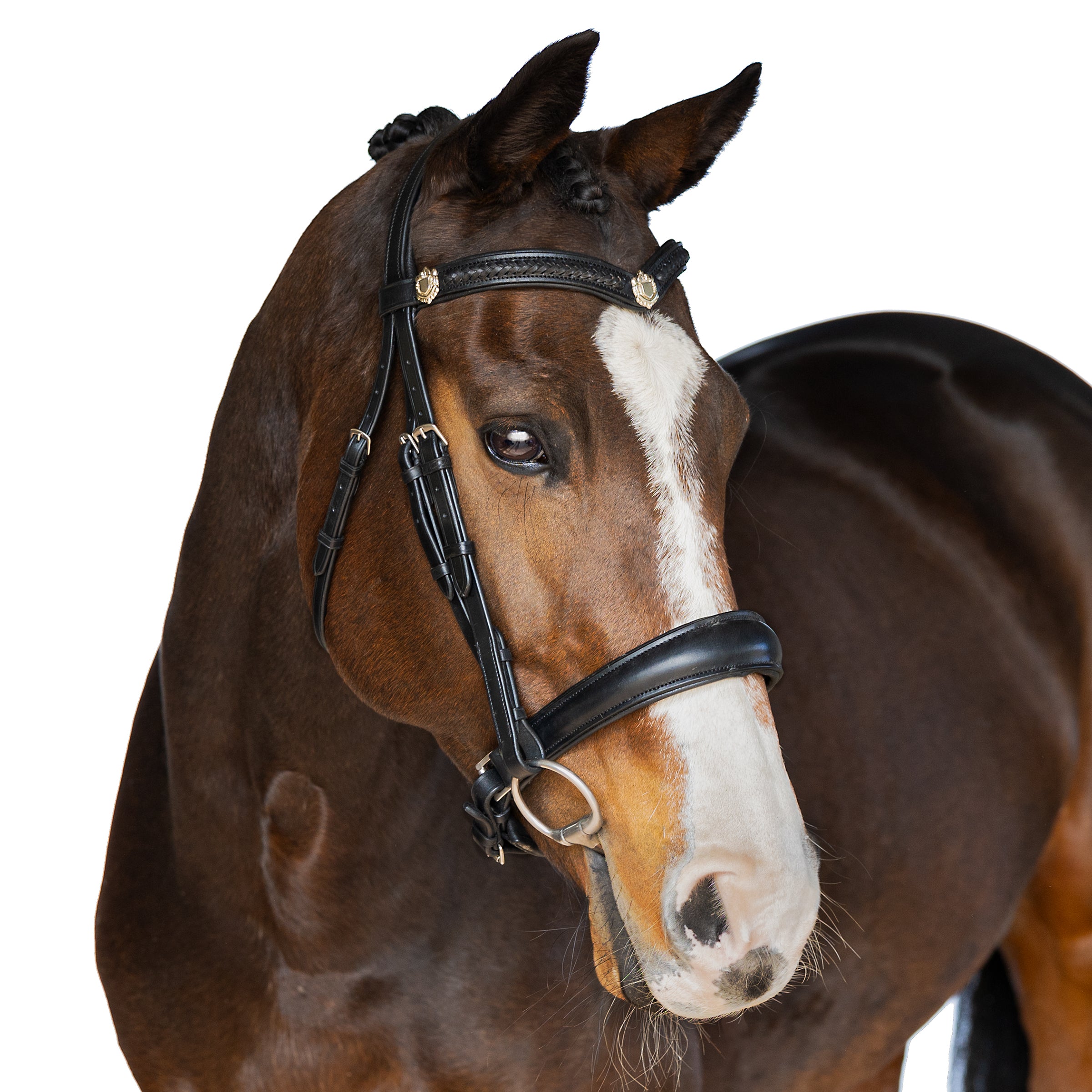 Premium Black Snaffle Bridle ‘Azure’