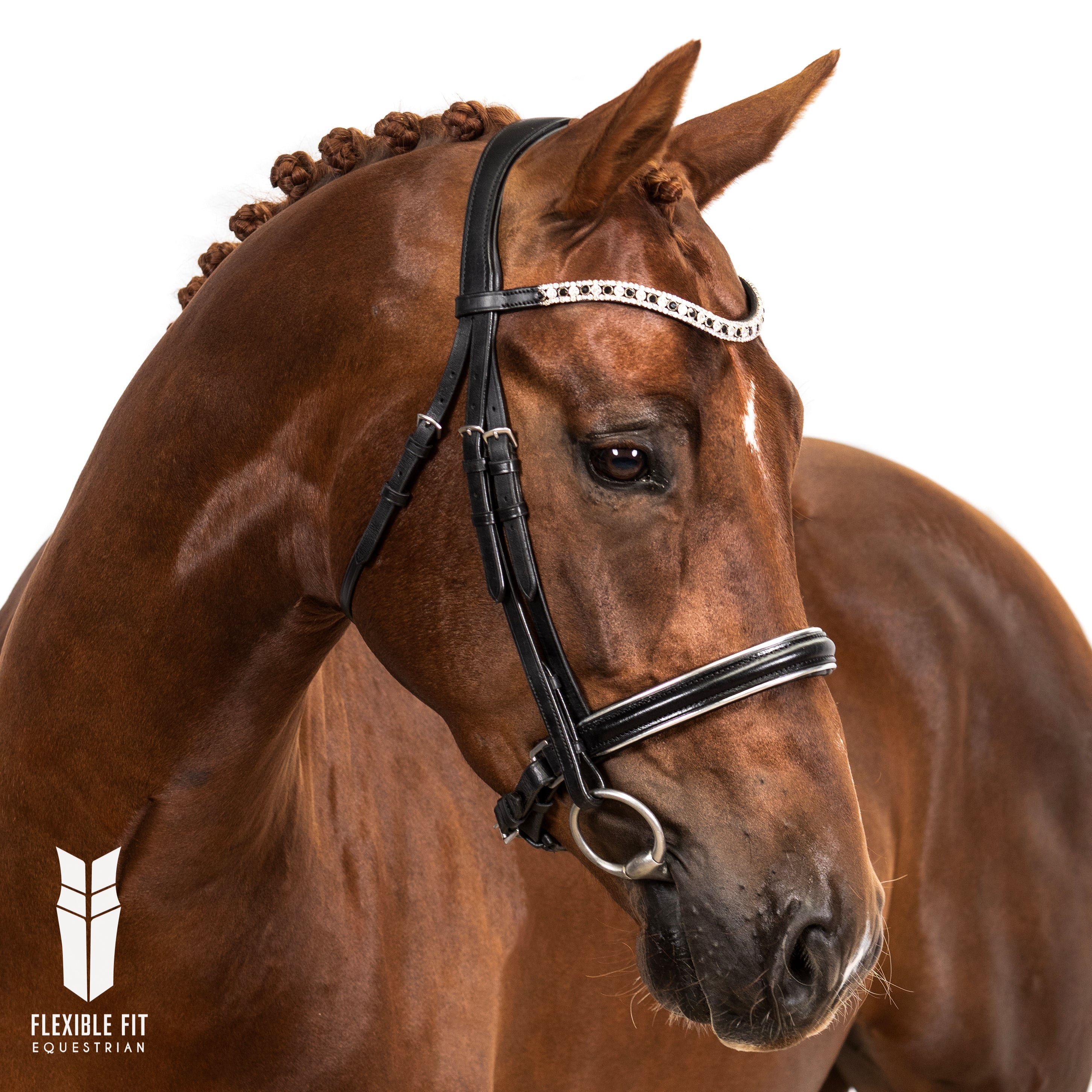Premium Black Snaffle Bridle ‘Solstice’
