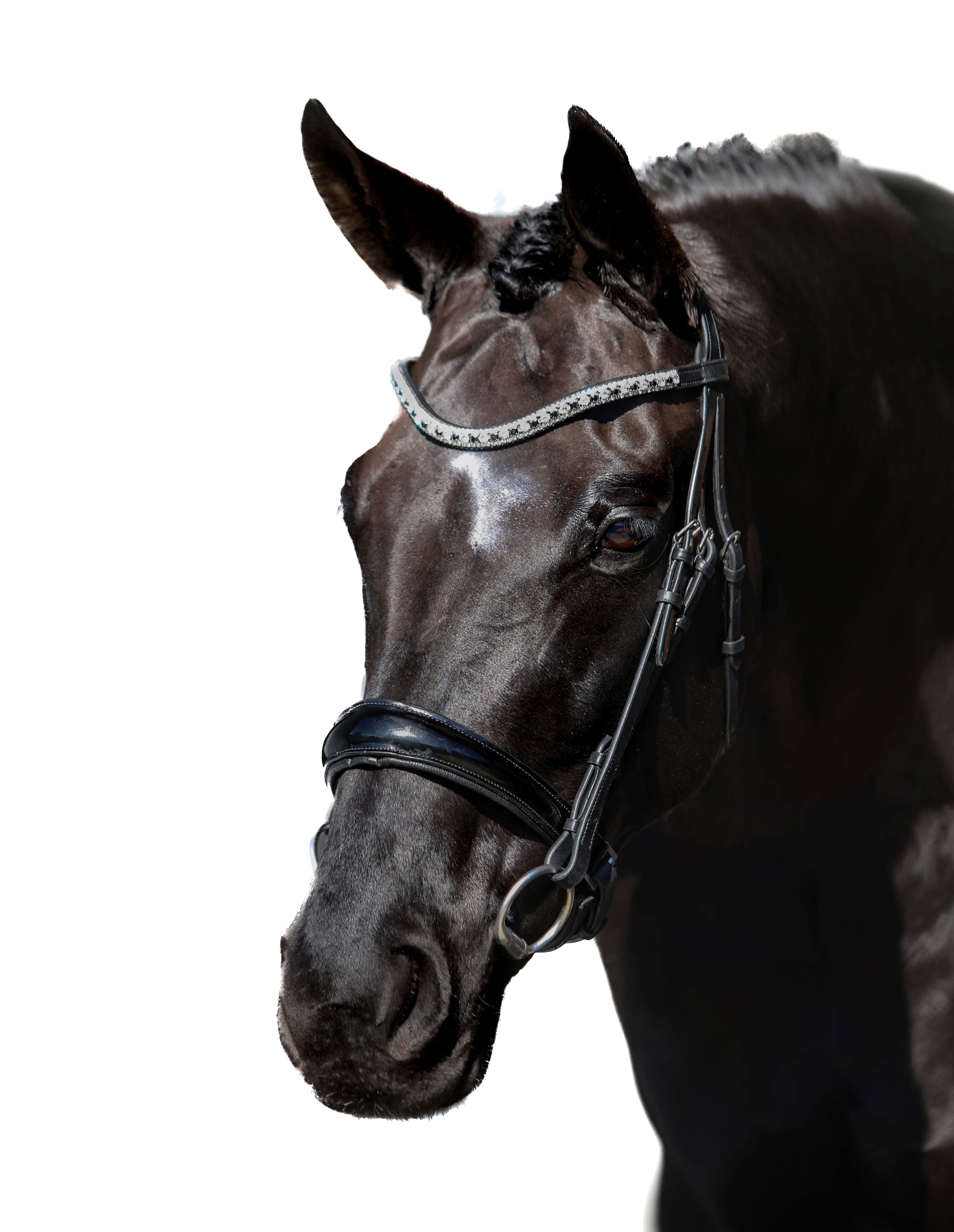 Premium Black Snaffle Bridle ‘Eternity’