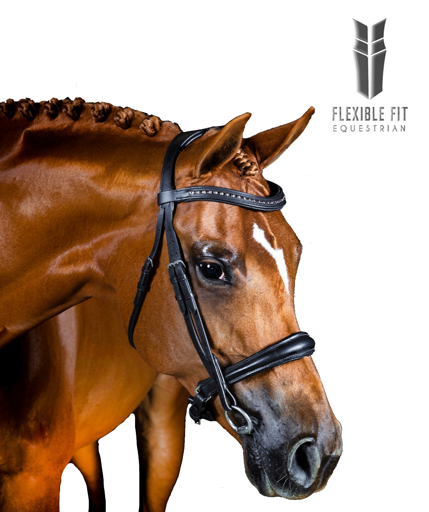Premium Black Snaffle Bridle ‘Britannia’