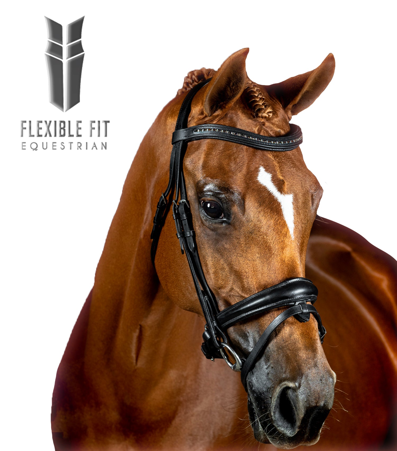 Premium Black Snaffle Bridle ‘Britannia’