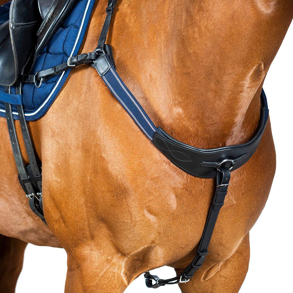 Modified Bridge Breastplates