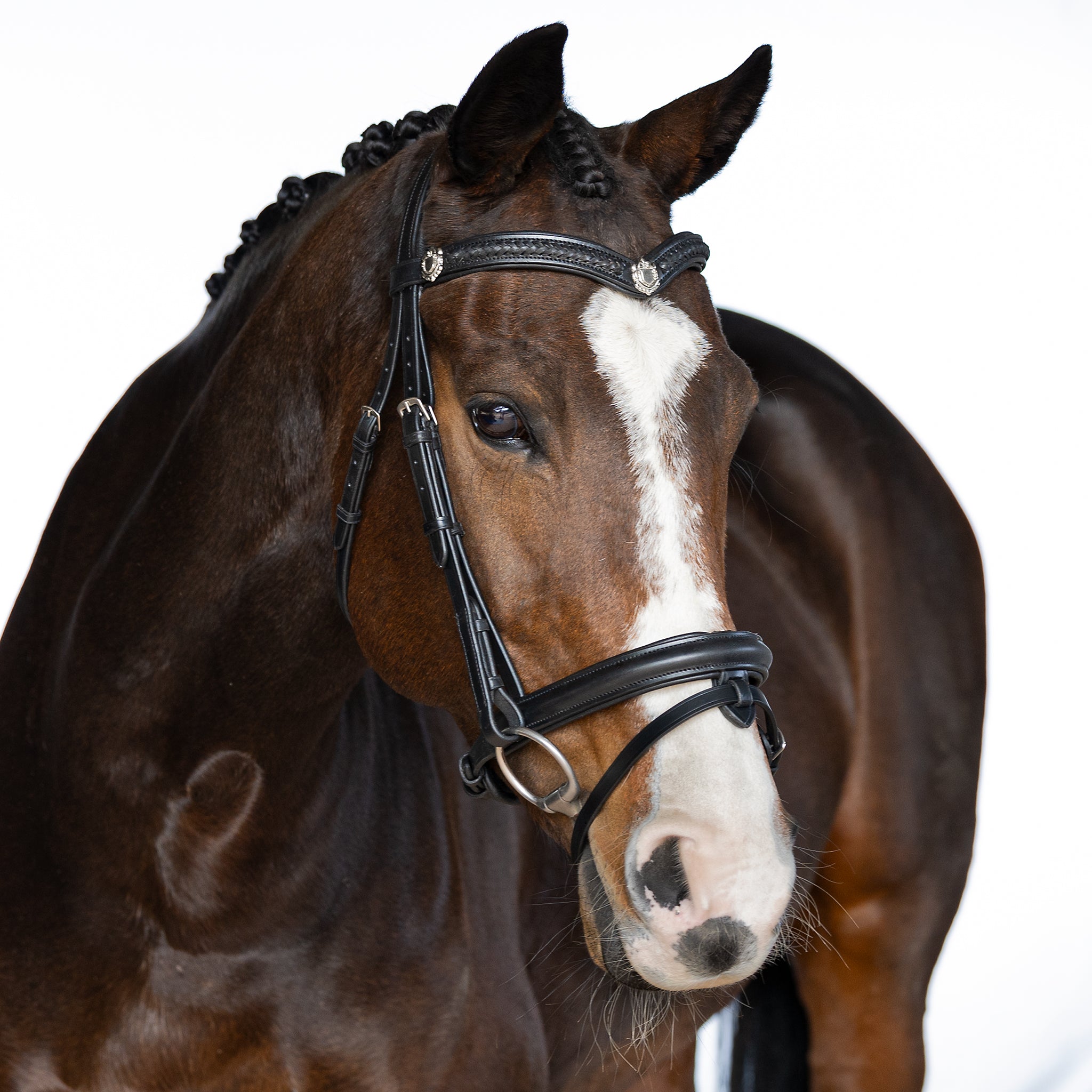 Premium Black Snaffle Bridle ‘Winter’