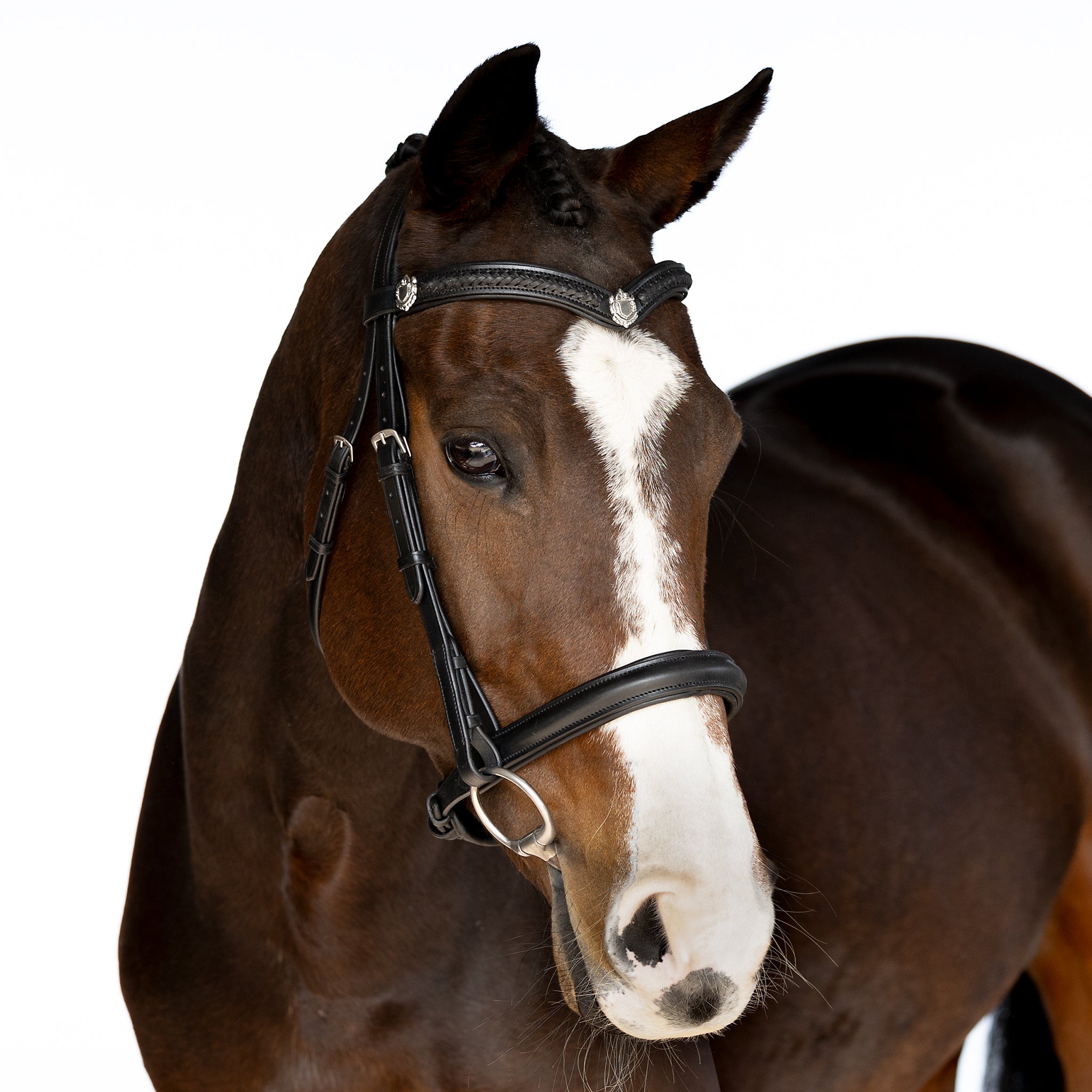 Premium Black Snaffle Bridle ‘Winter’