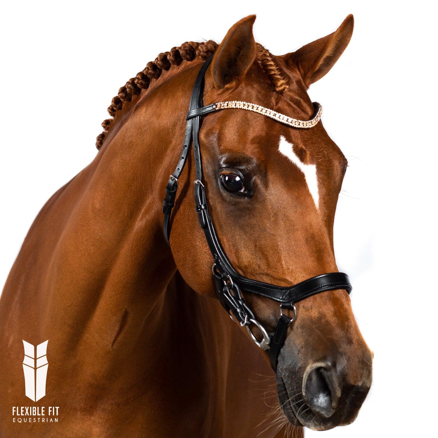 Premium Black Comfort Bridle ‘Alleviation’