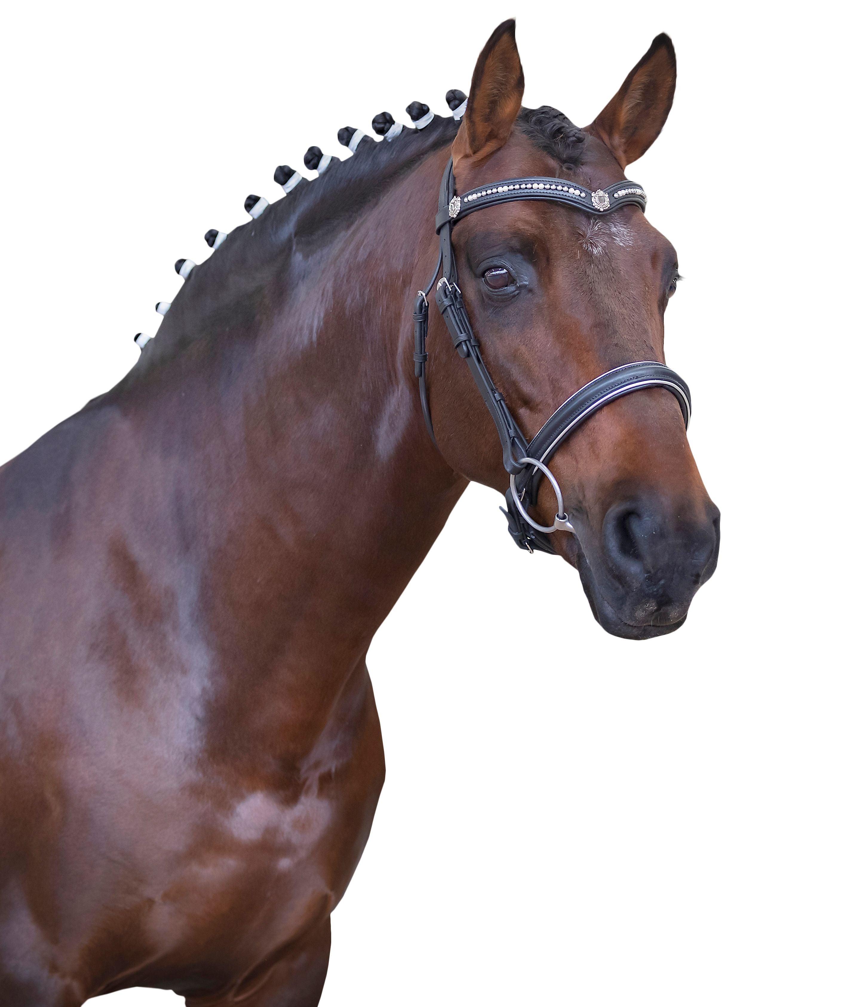 Premium Black Snaffle Bridle ‘Aries’