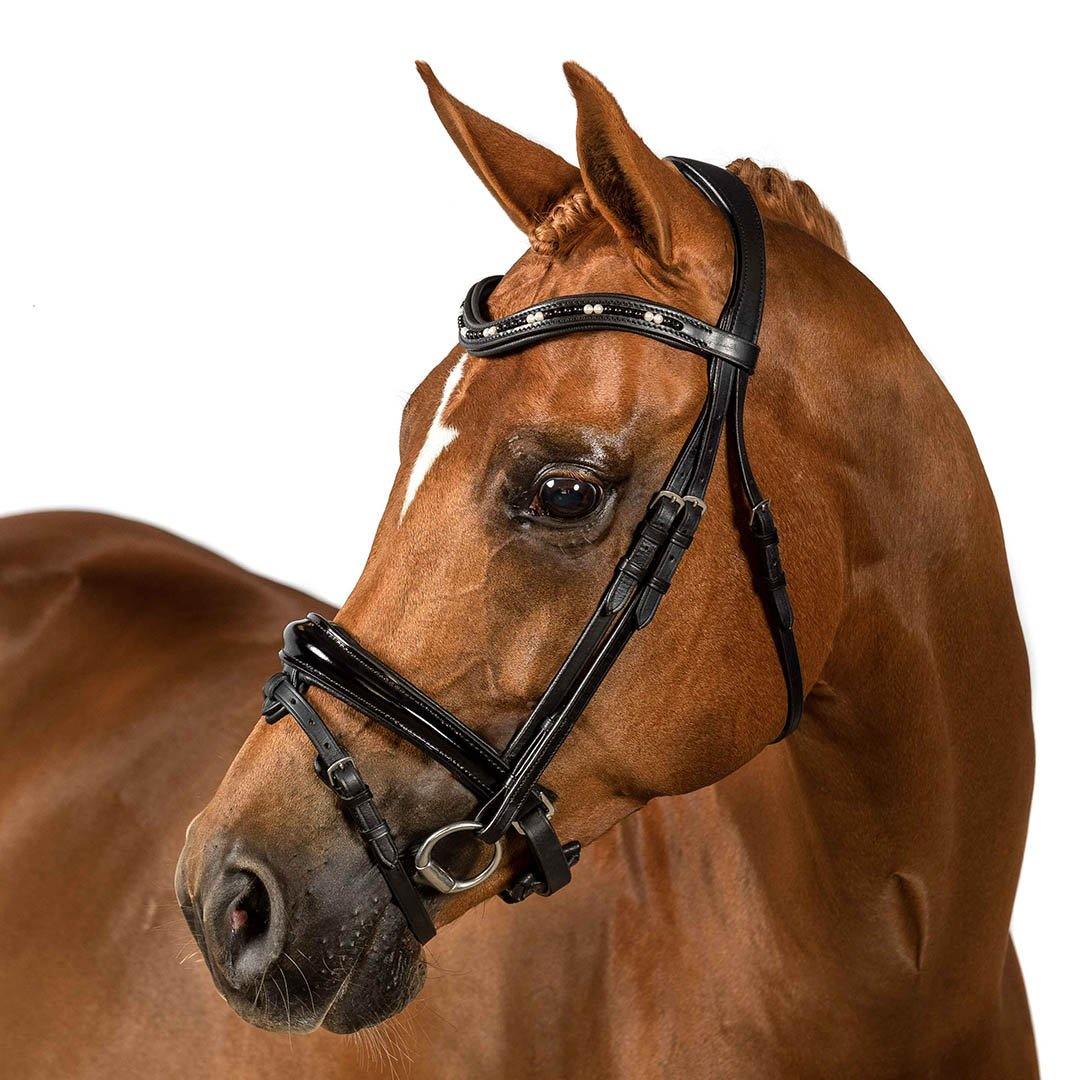 Premium Black Snaffle Bridle ‘Astral’