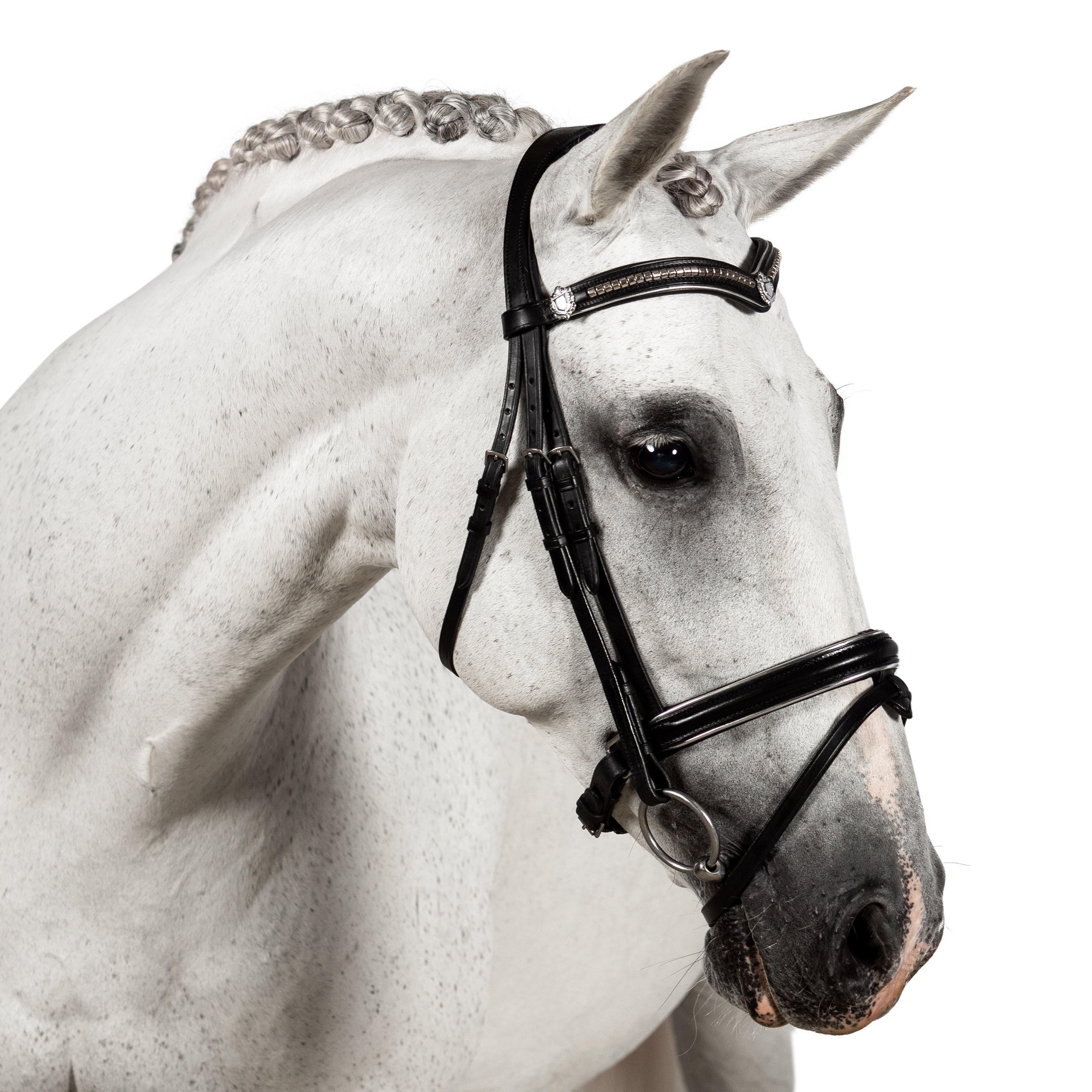 Premium Black Snaffle Bridle ‘Athena’