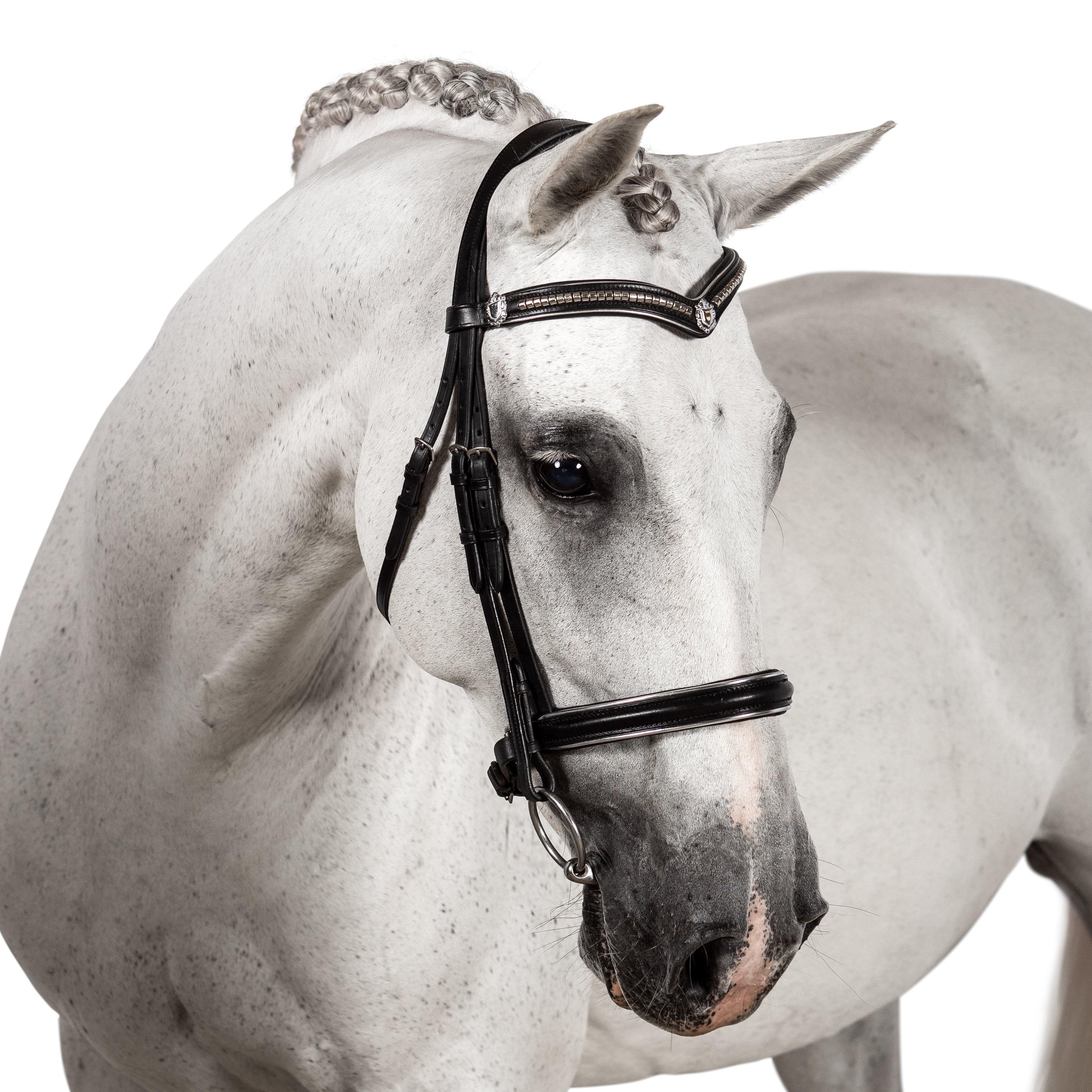 Premium Black Snaffle Bridle ‘Athena’