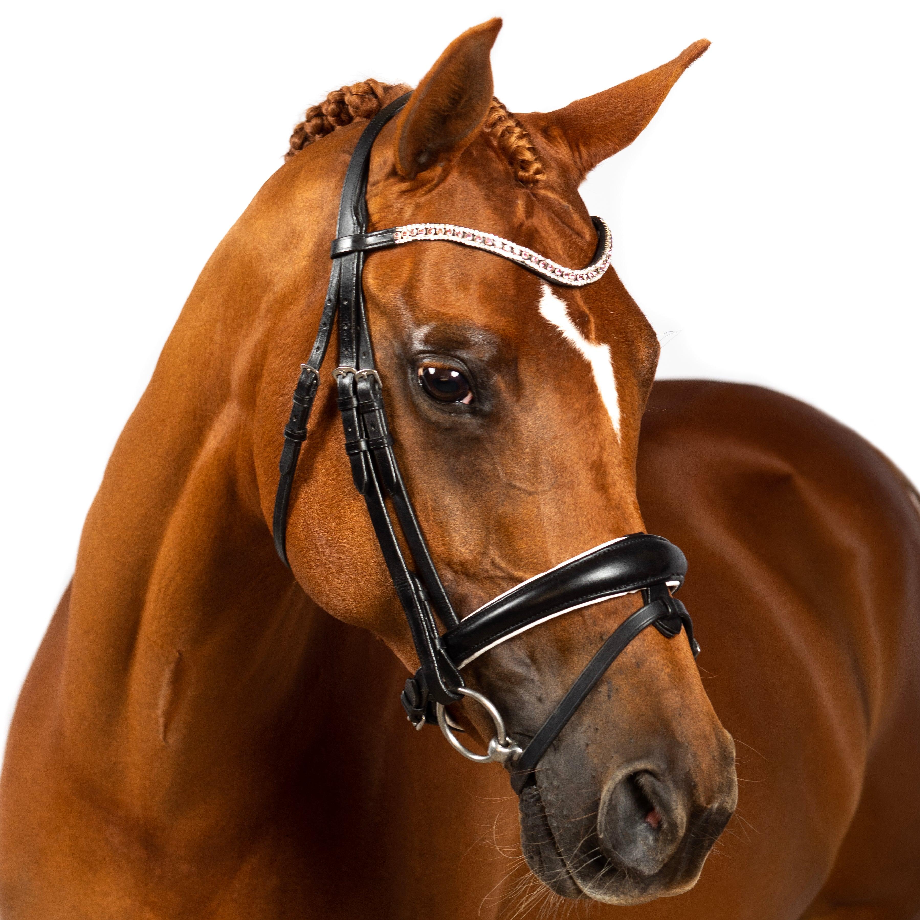 Premium Black Snaffle Bridle ‘Devotion’