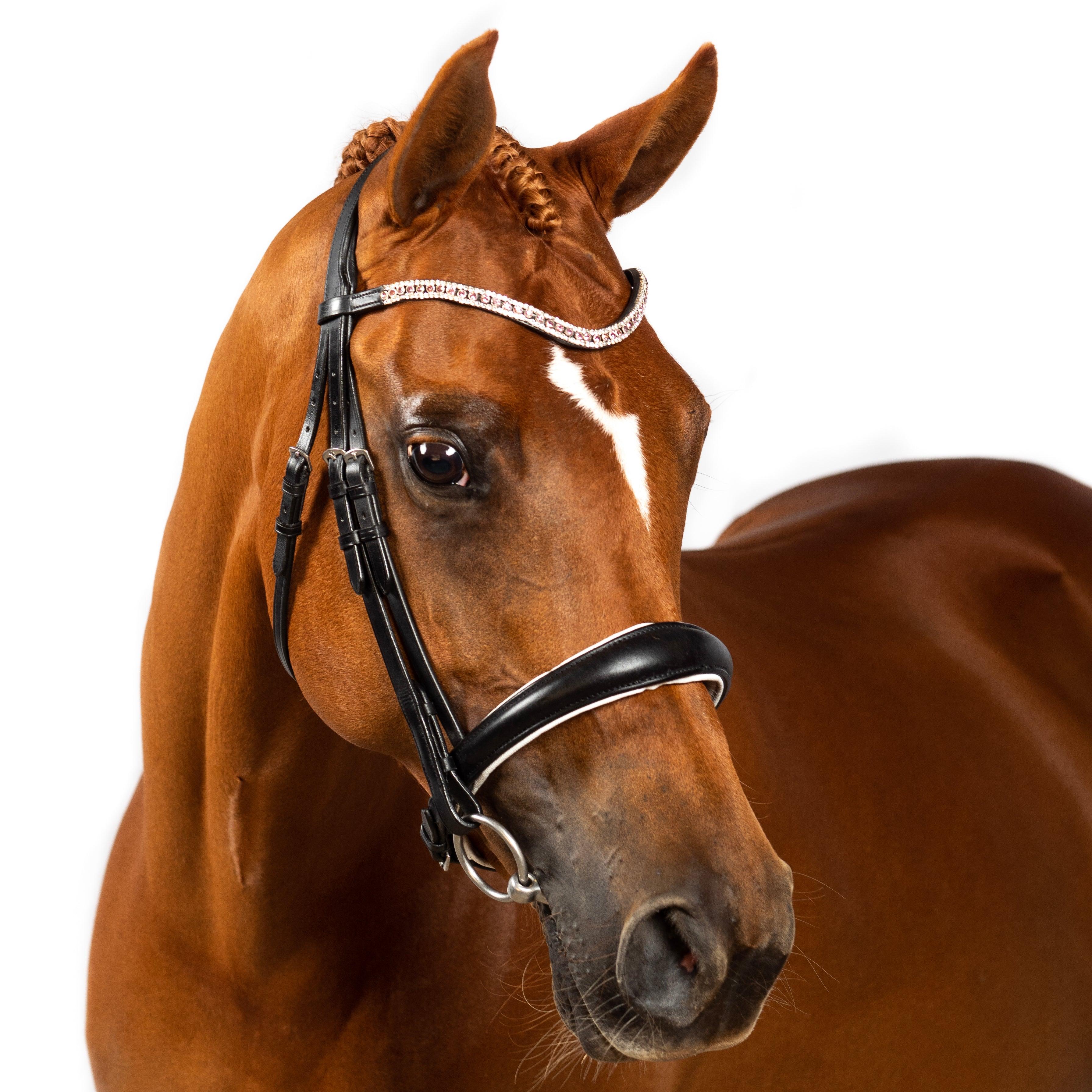 Premium Black Snaffle Bridle ‘Devotion’