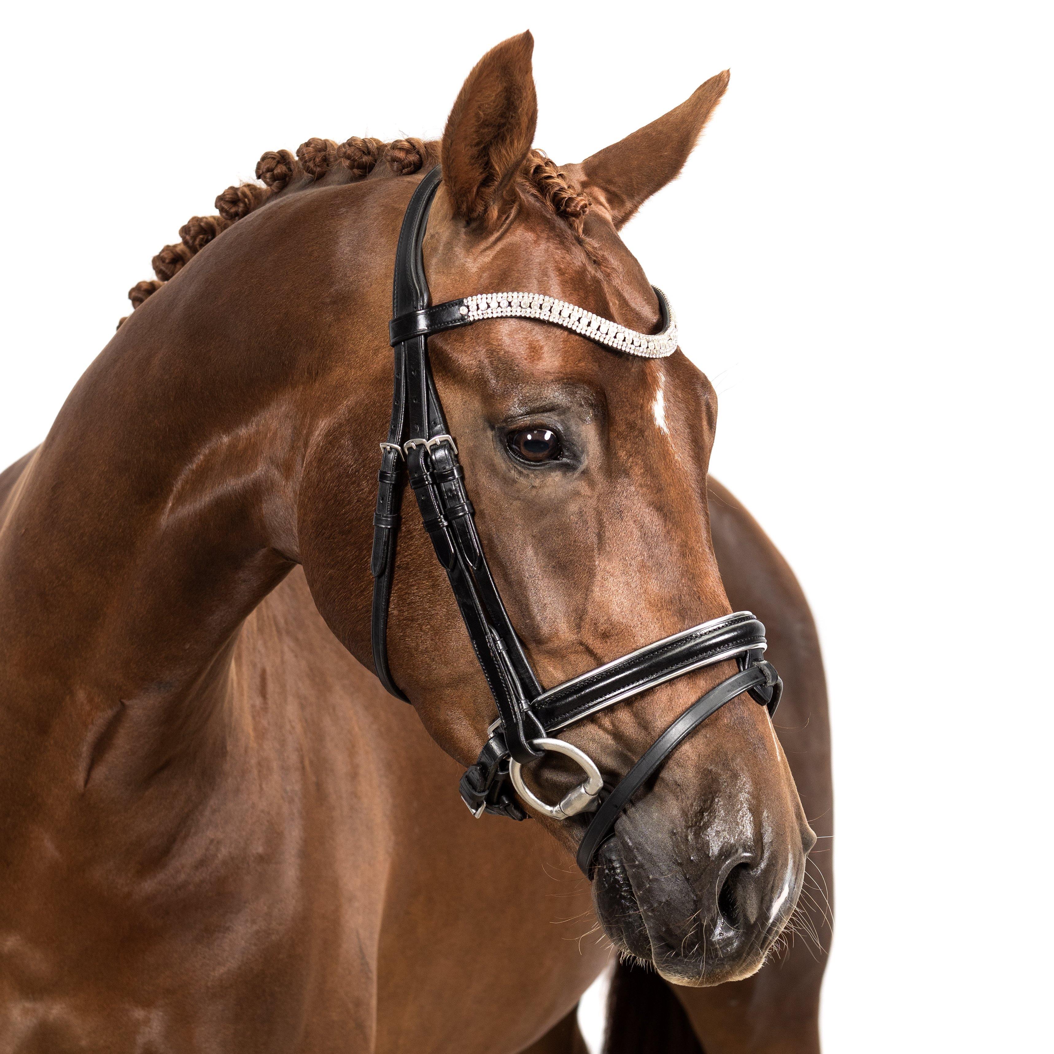 Premium Black Snaffle Bridle ‘Elegance’