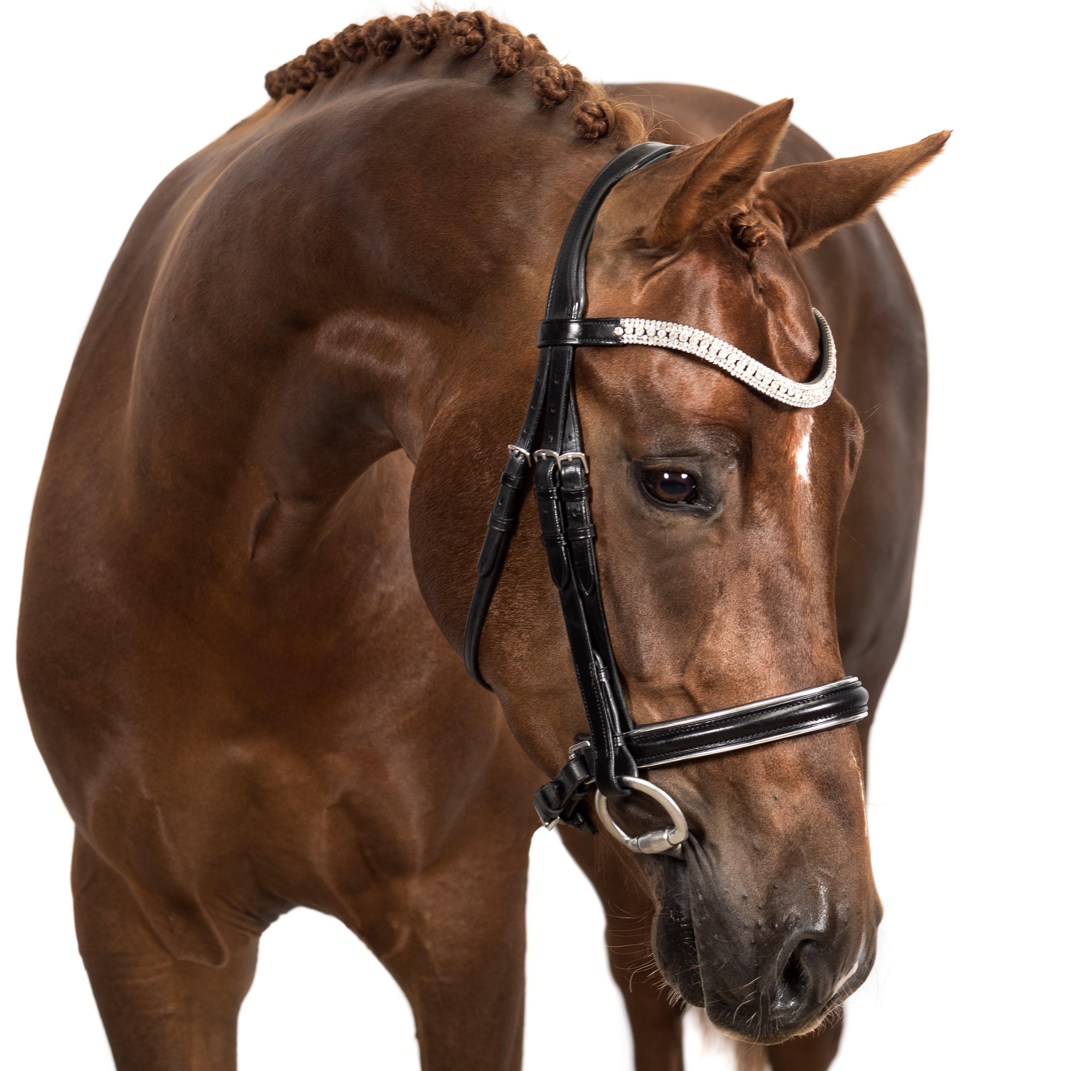 Premium Black Snaffle Bridle ‘Elegance’