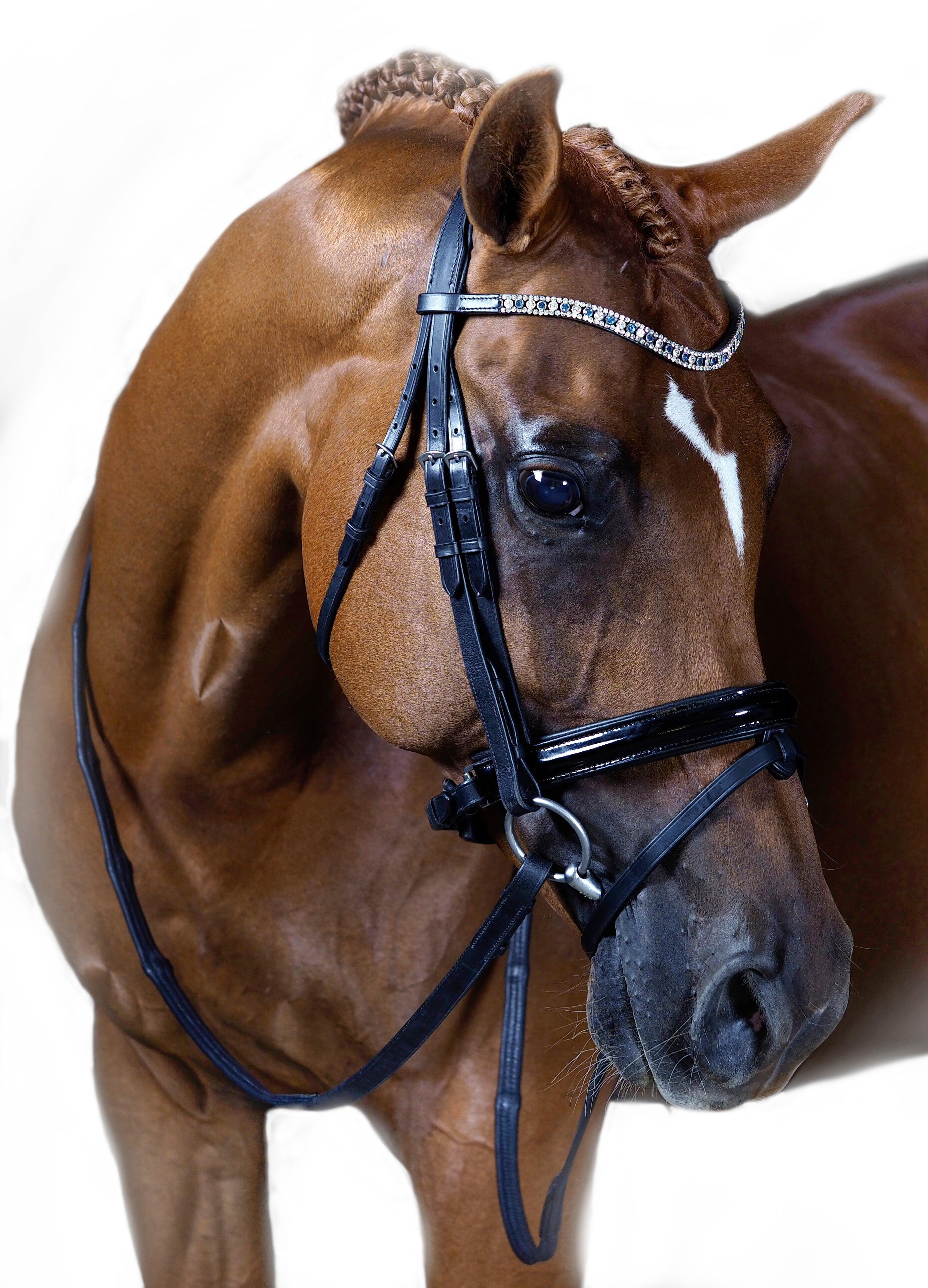 Premium Black Snaffle Bridle ‘Emily’
