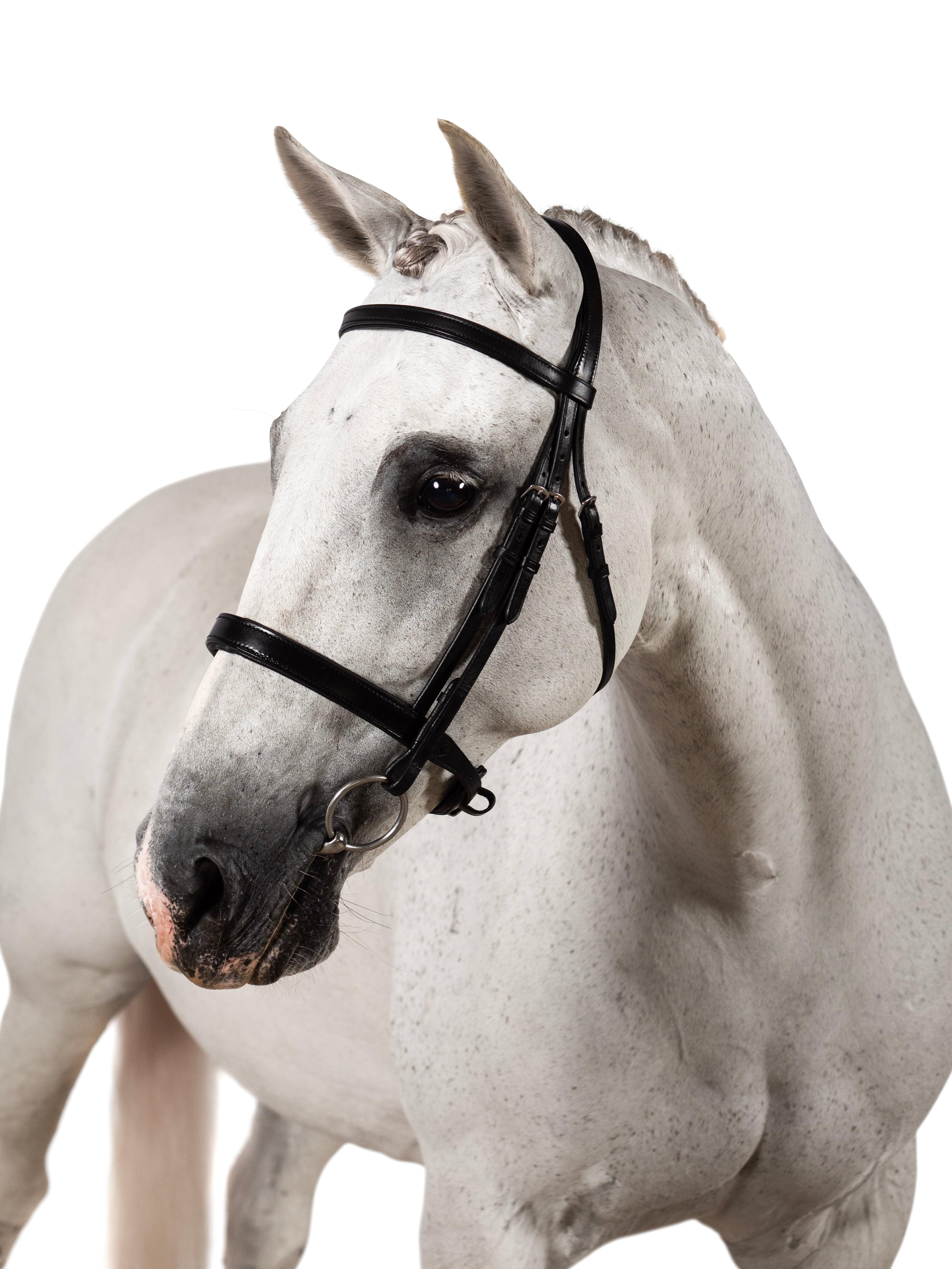 Premium Black Snaffle Bridle ‘Everett’