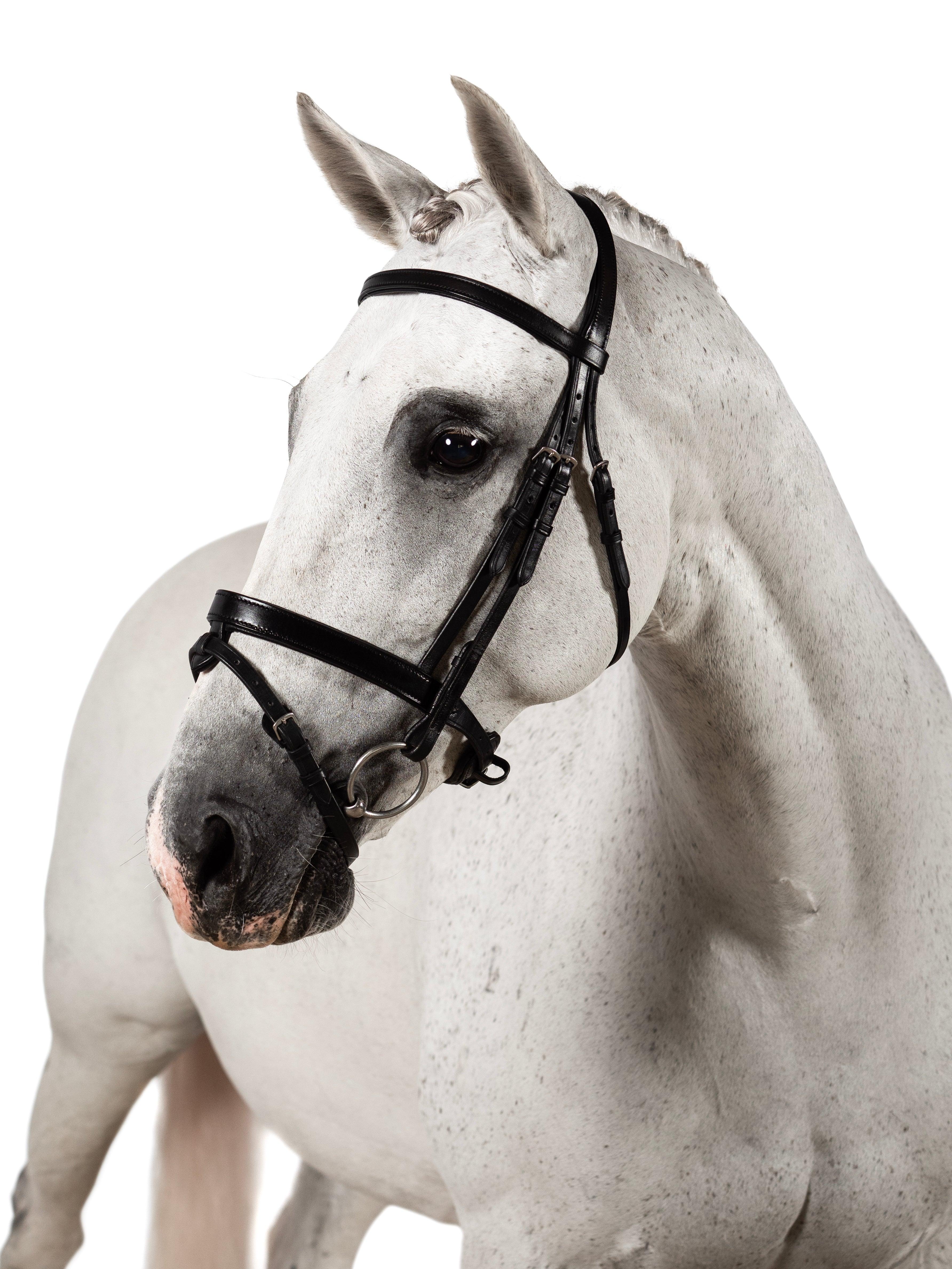 Premium Black Snaffle Bridle ‘Everett’