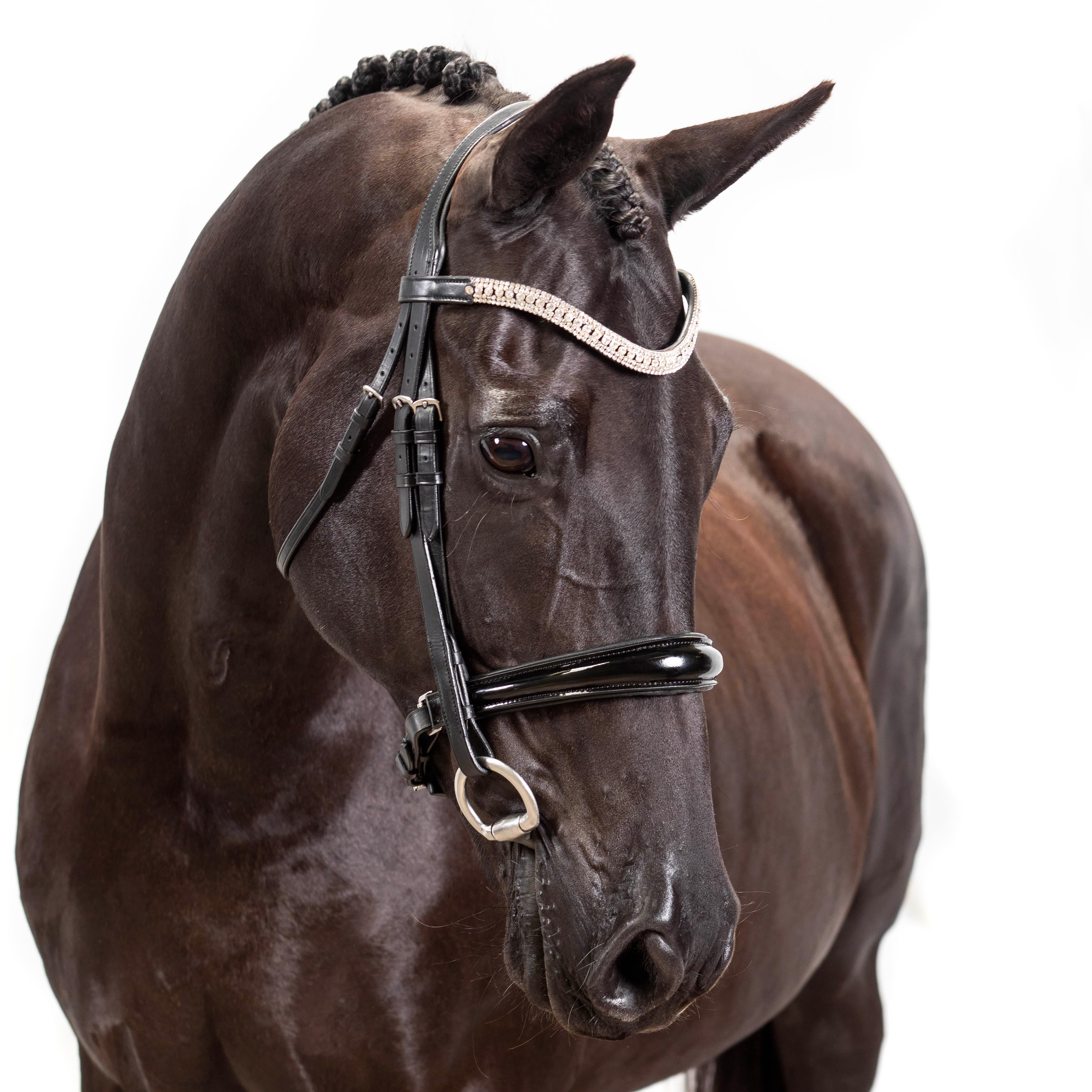 Premium Black Snaffle Bridle ‘Explorer’