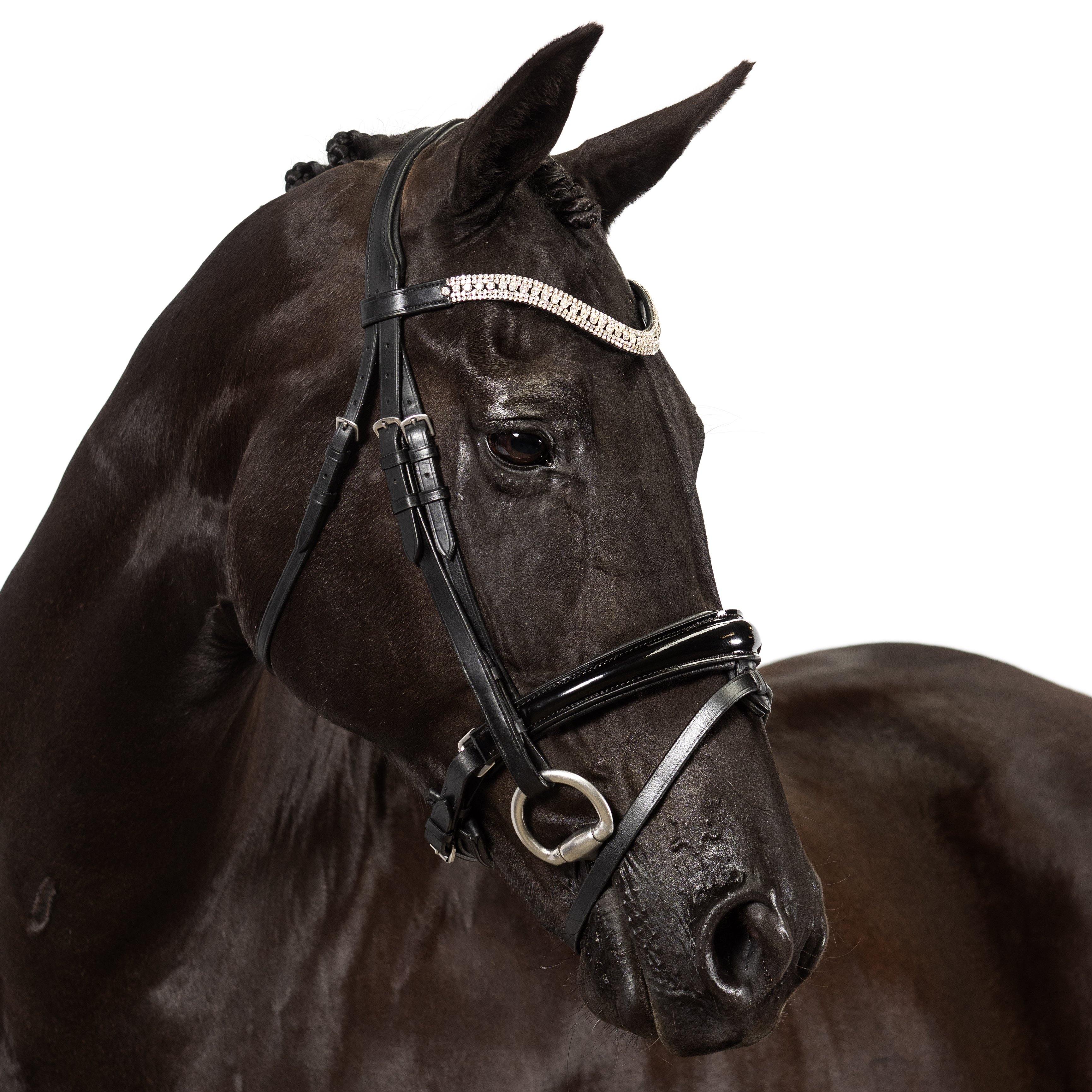 Premium Black Snaffle Bridle ‘Explorer’