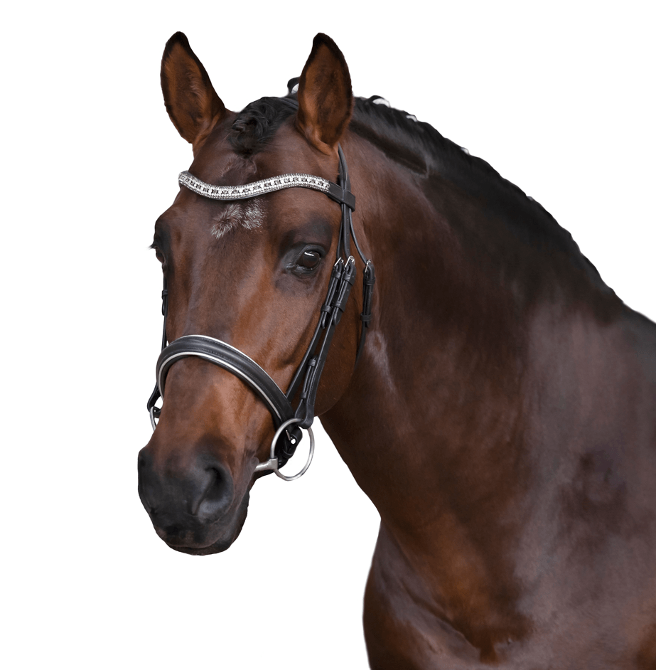 Premium Black Snaffle Bridle ‘Oasis’