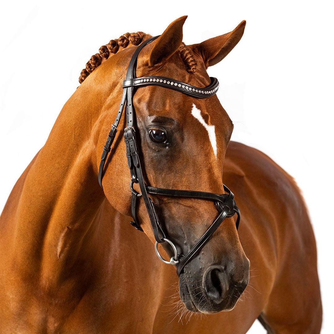 Premium Black Snaffle Bridle ‘Radiance’