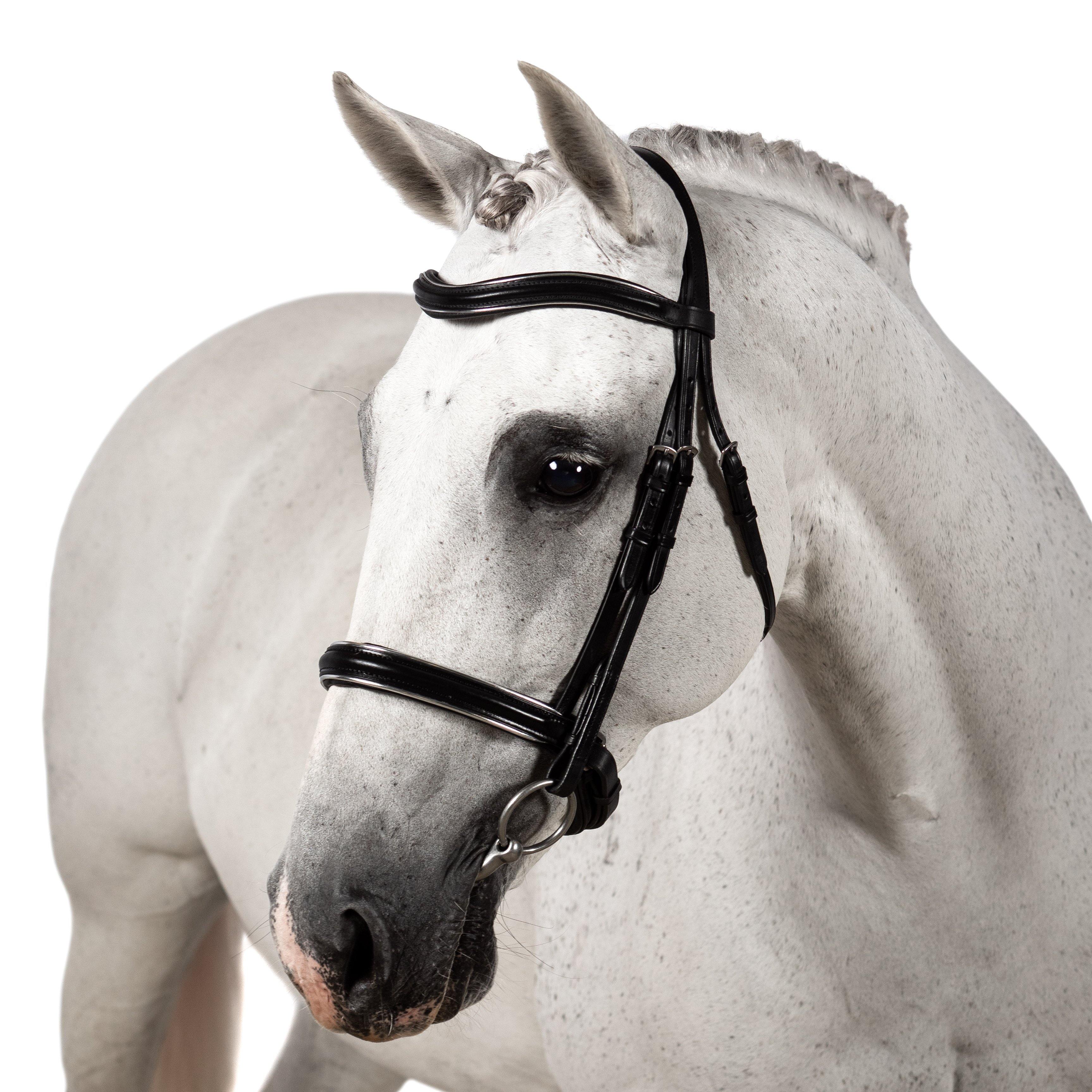 Premium Black Snaffle Bridle ‘Senna’