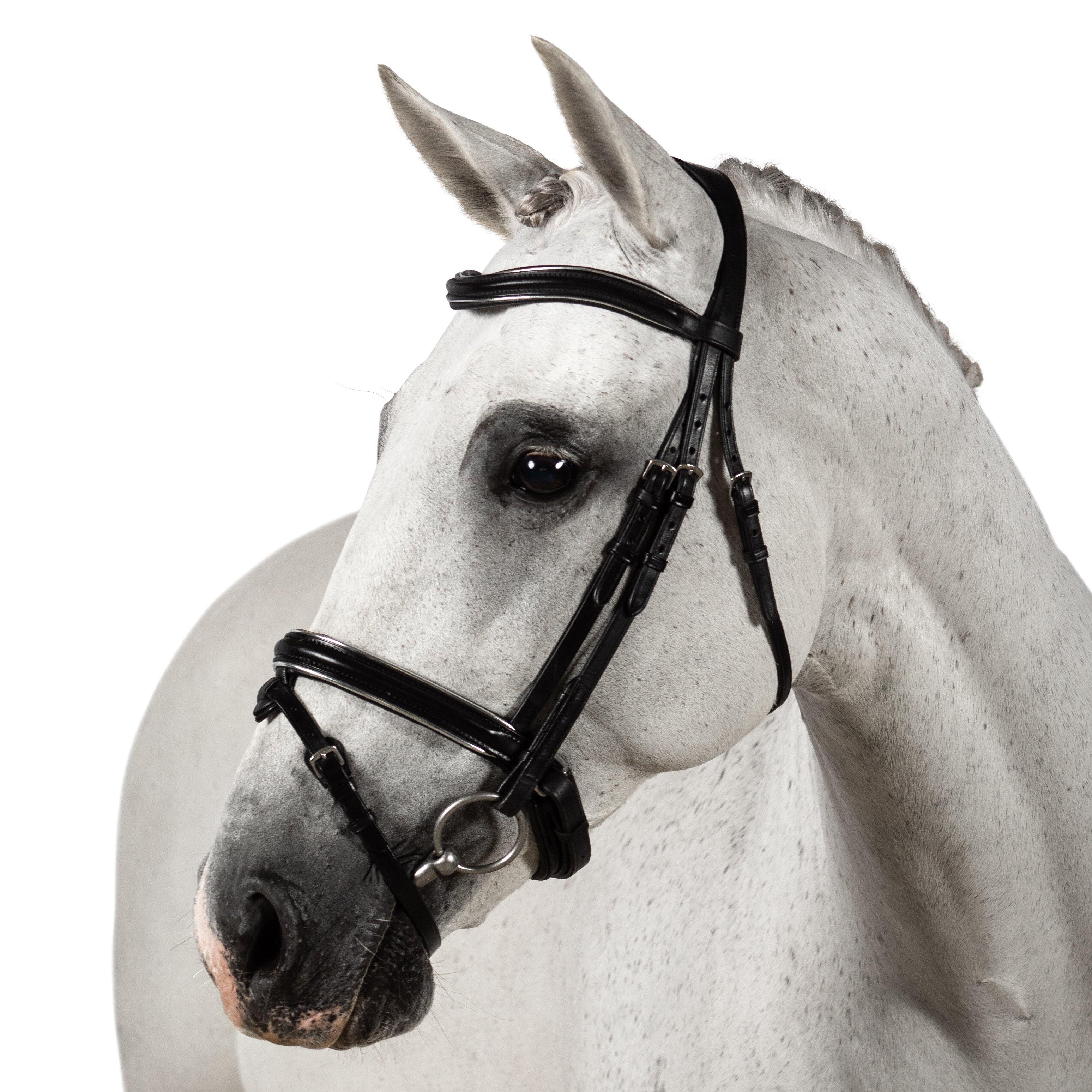 Premium Black Snaffle Bridle ‘Senna’