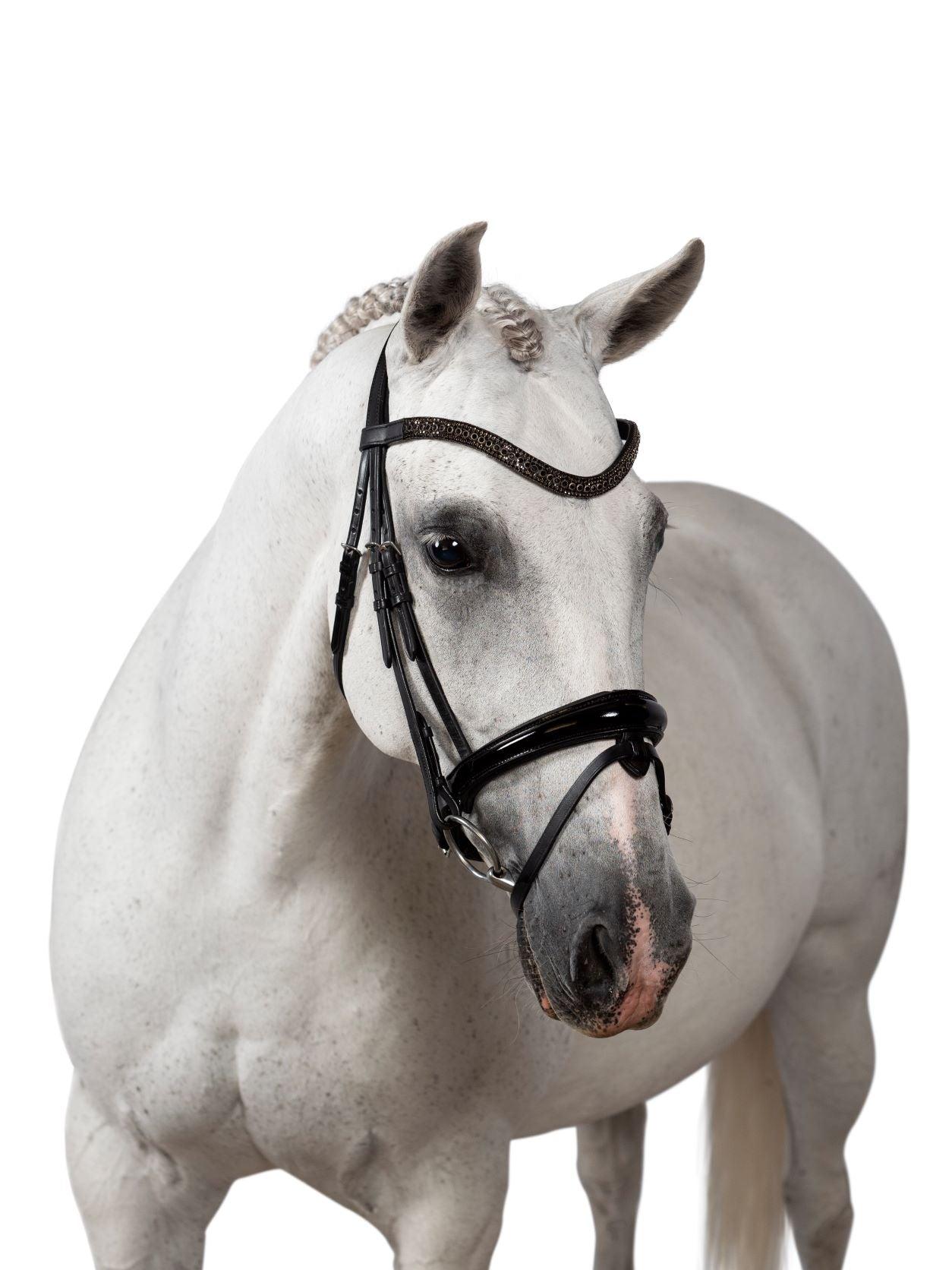 Premium Black Snaffle Bridle ‘Shine’