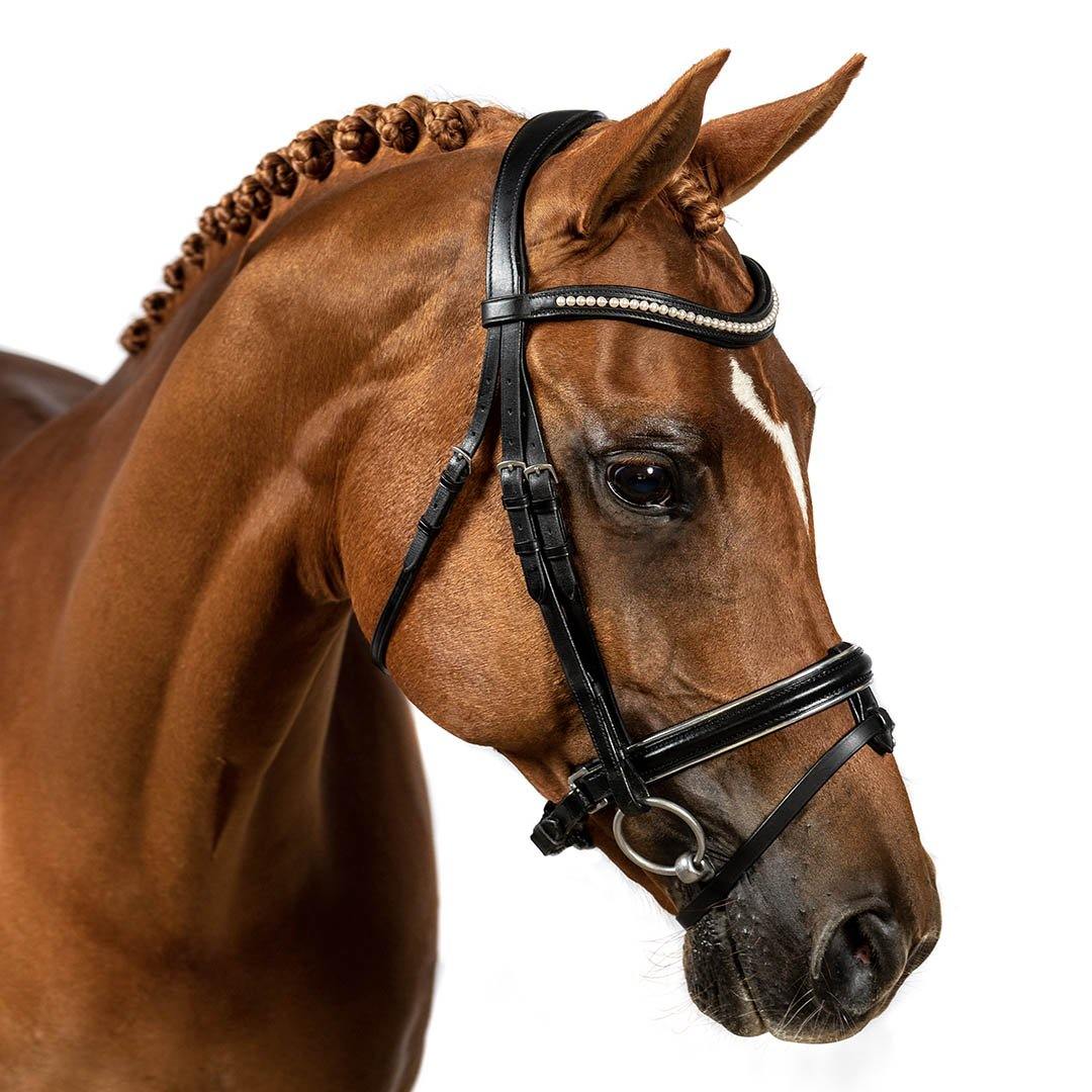 Premium Black Snaffle Bridle ‘Symphony’