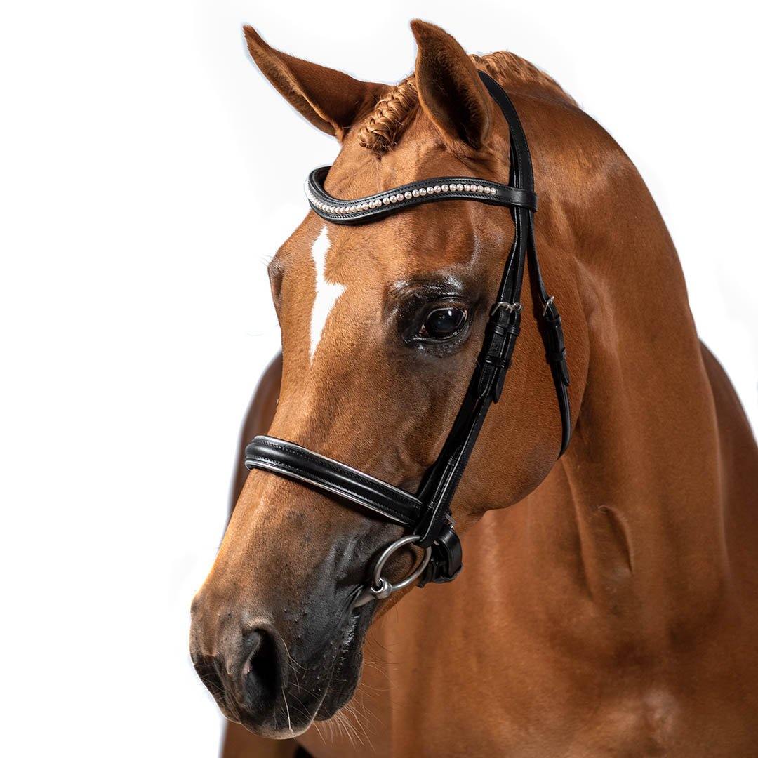 Premium Black Snaffle Bridle ‘Symphony’